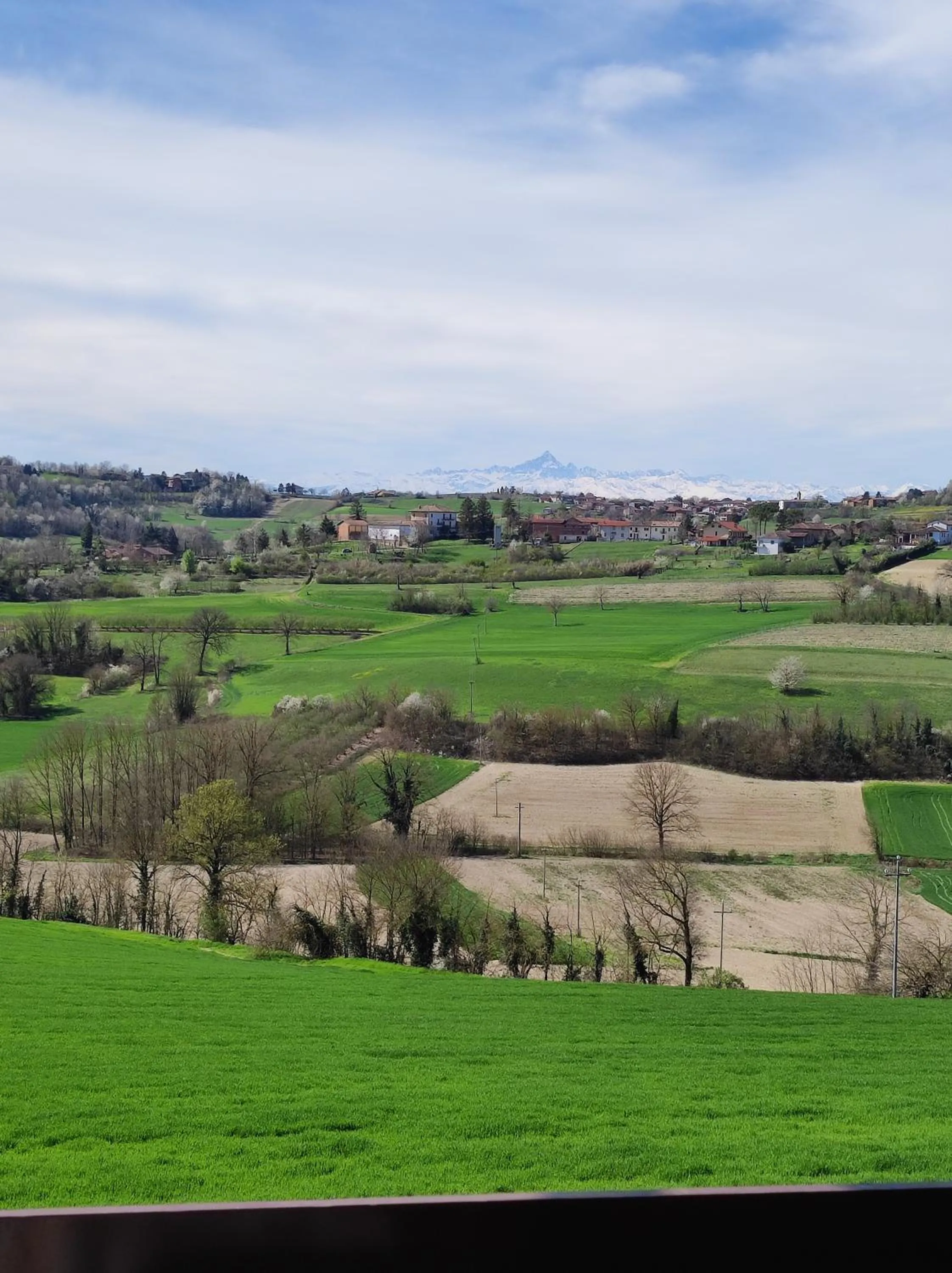 Natural landscape in B&B i colori del Monferrato