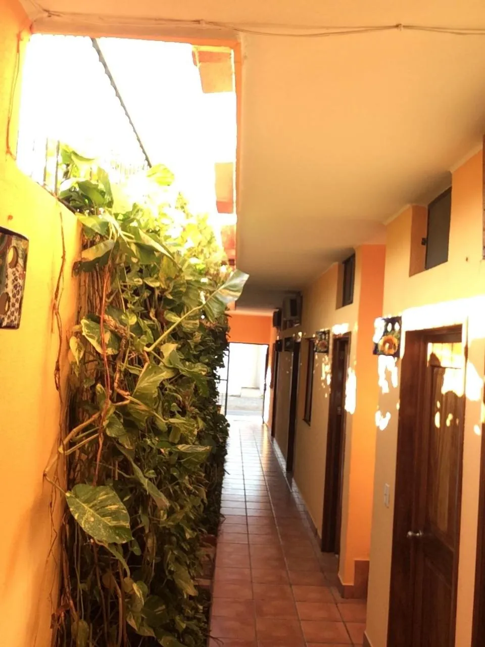 Patio in Hotel Joya Del Mar