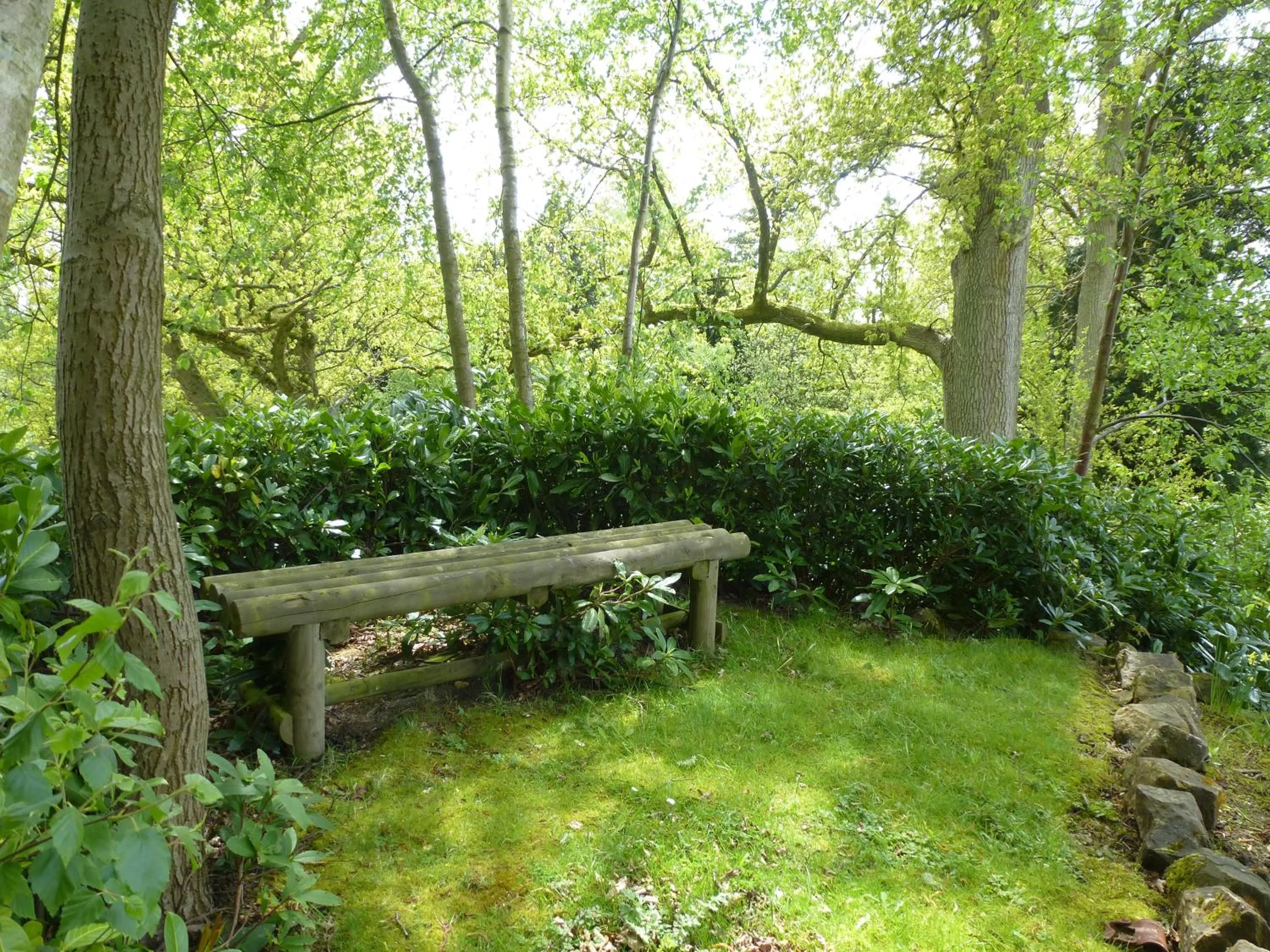 Garden in Accommodation at Salomons Estate