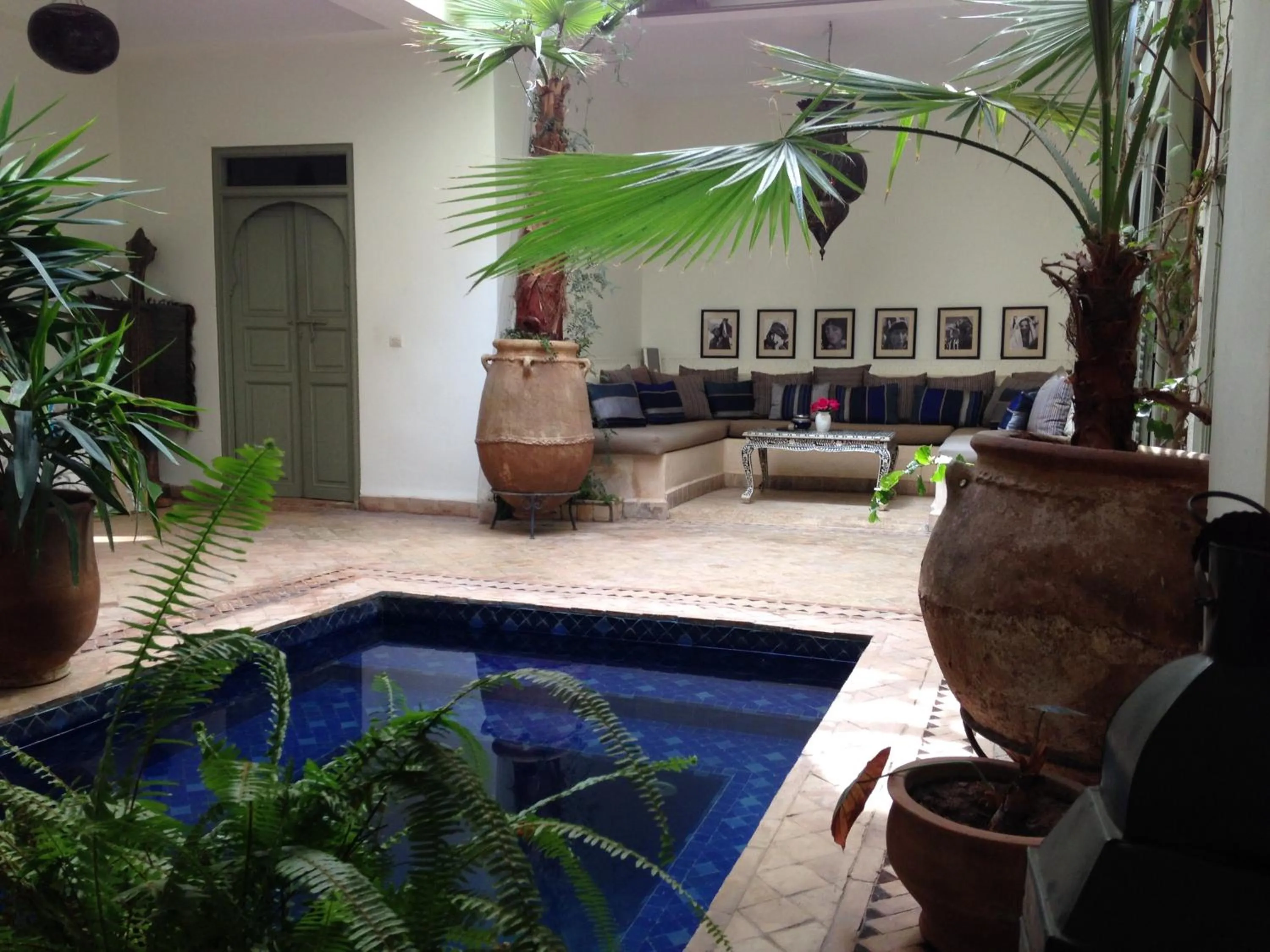 Swimming pool in Riad Timila