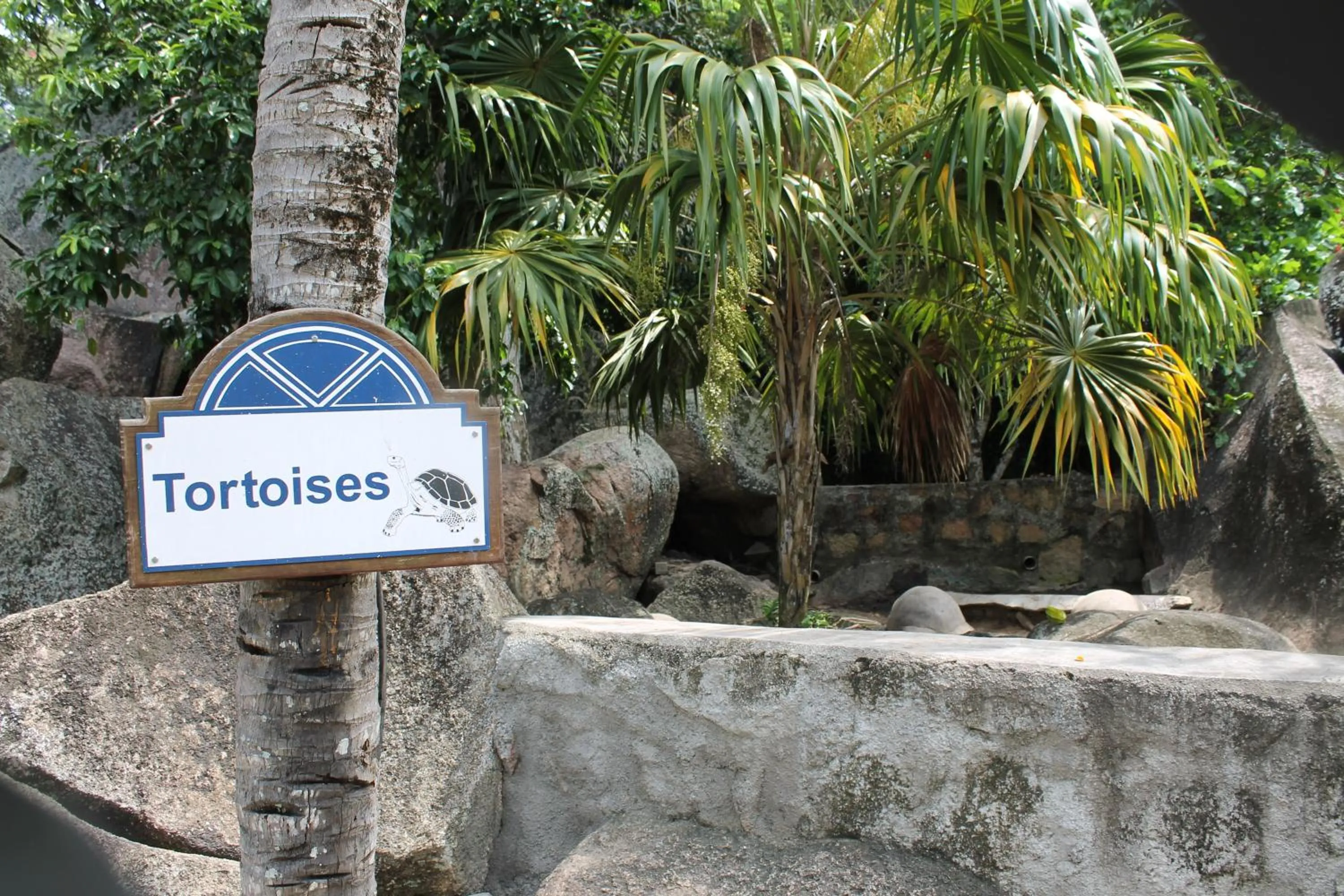 Animals in Hotel Chateau St Cloud