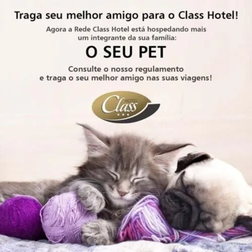 Pets in Class Hotel Passos Rio Grande Portal da Canastra
