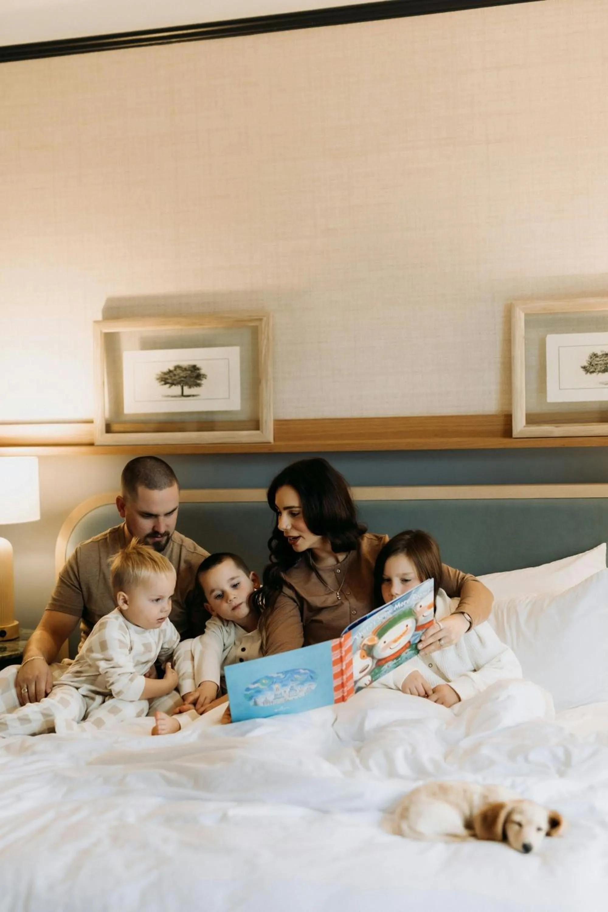 Photo of the whole room, Bed in The Algonquin Resort St. Andrews by-the-Sea, Autograph Collection