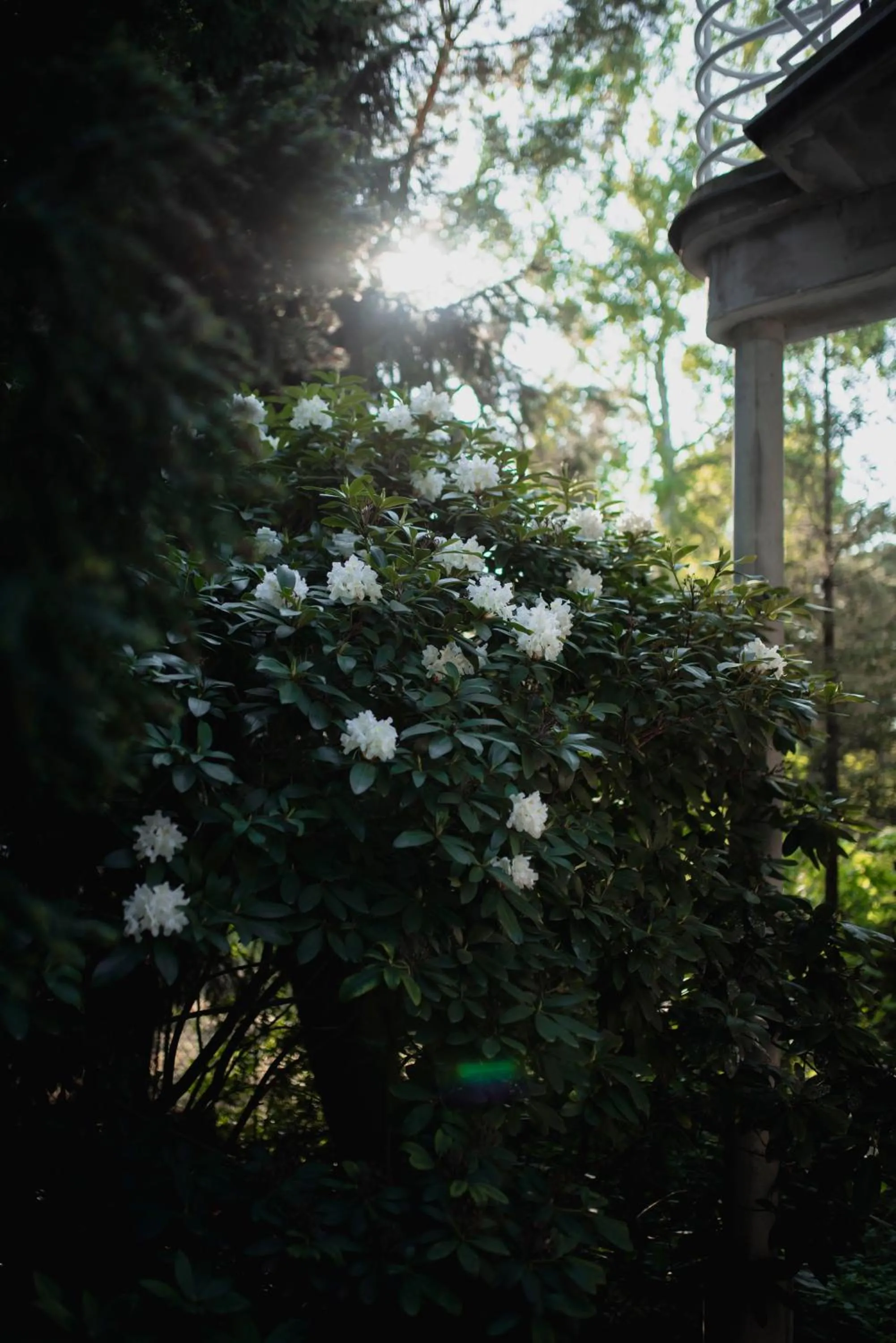 Spring in Ohana Space w Juracie
