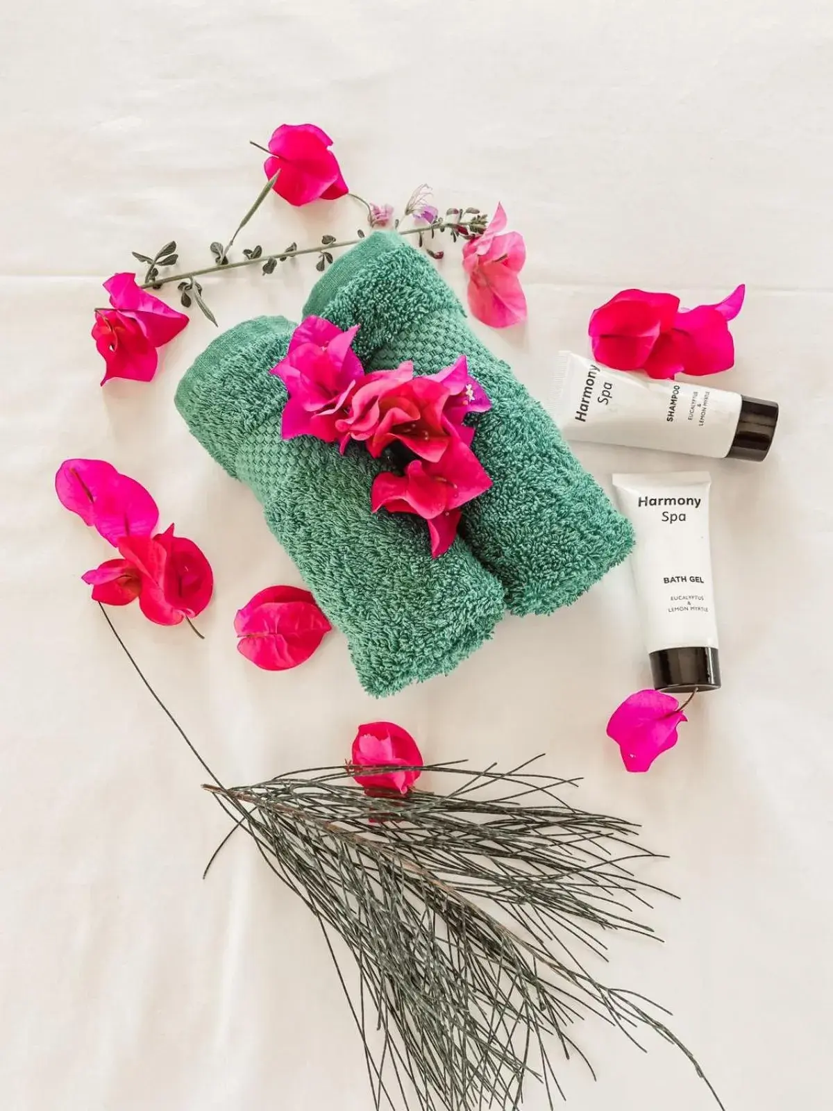 Suite with Pool View in Paje Blu Boutique Hotel Suite with Pool View in Paje Blu Boutique Hotel