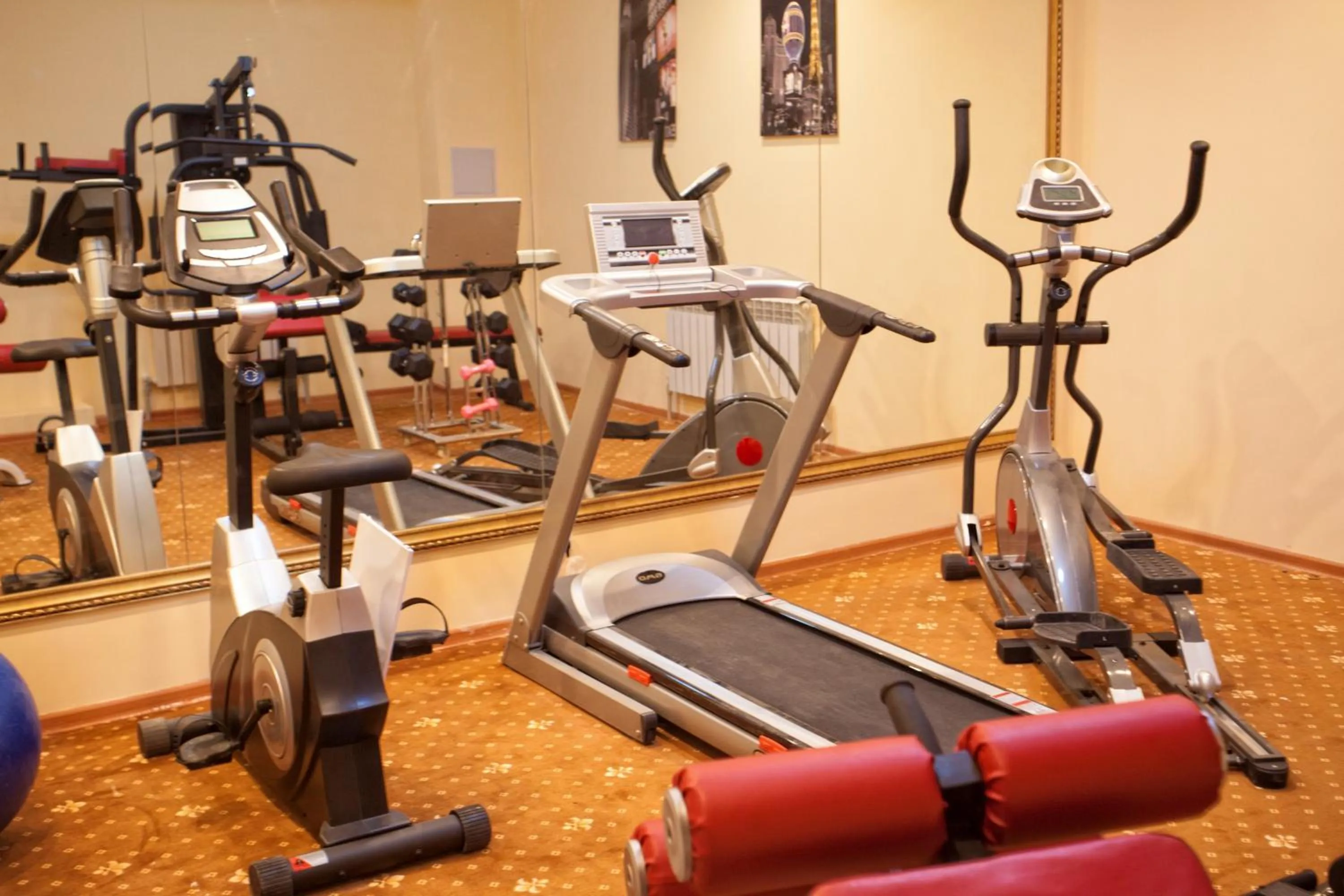 Fitness centre/facilities in Golden Palace Hotel