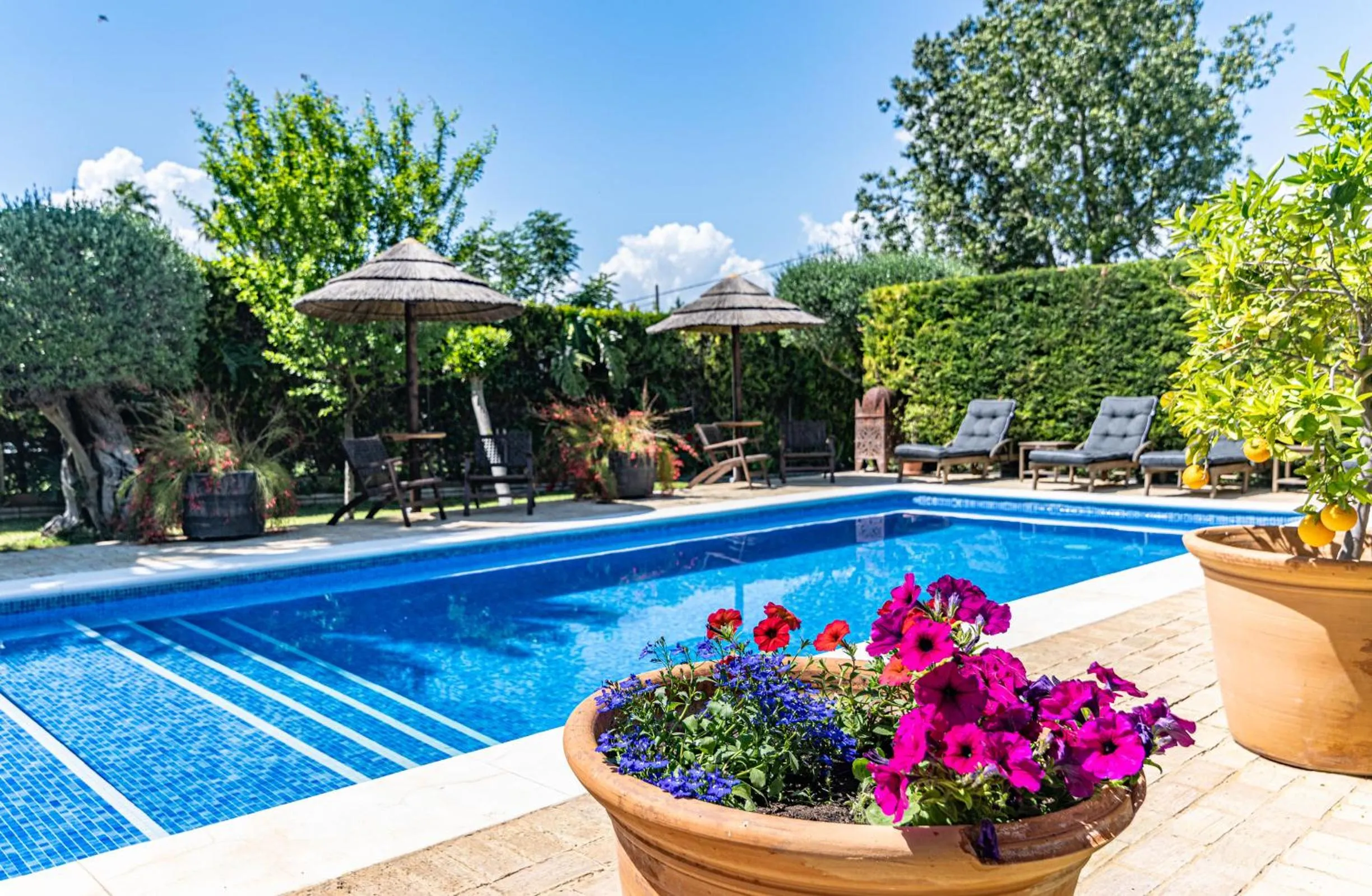 B&B Casa Adelante Sevilla