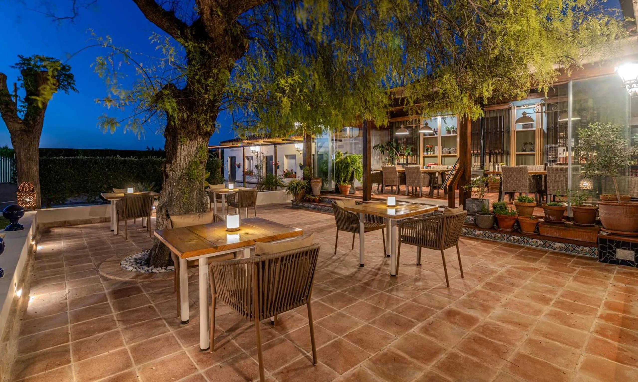 B&B Casa Adelante Sevilla