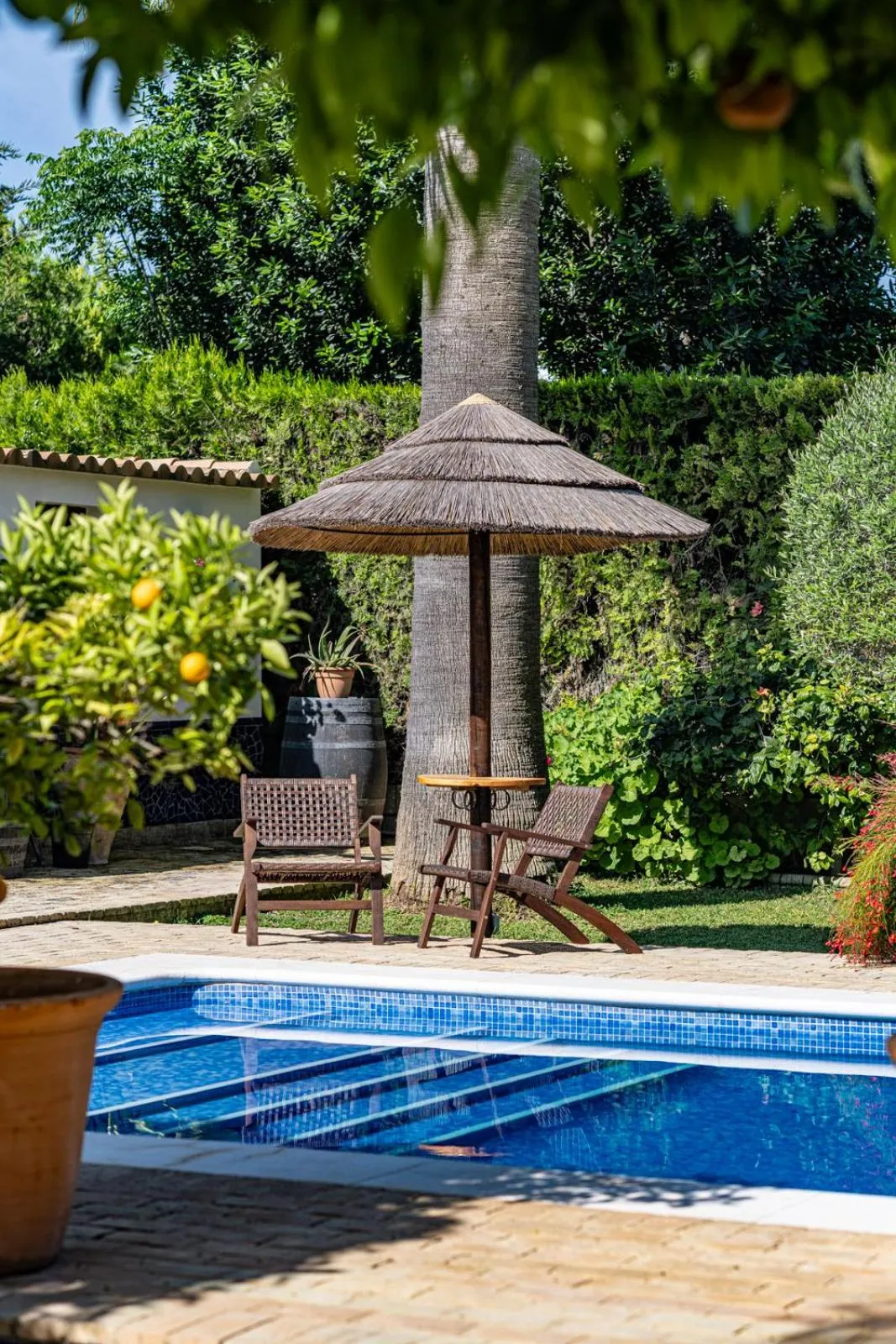 B&B Casa Adelante Sevilla