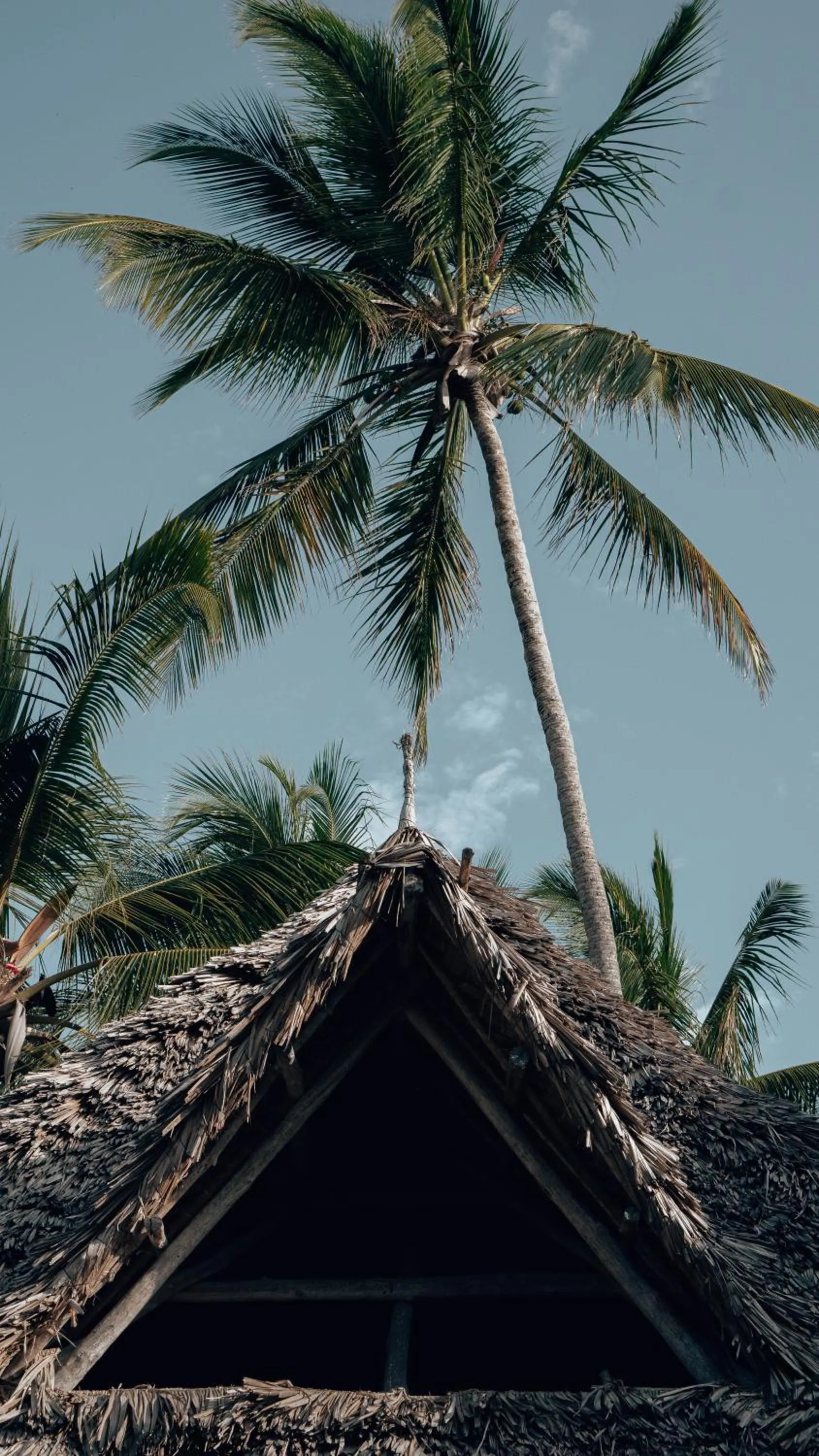 Street view in Sahari Zanzibar