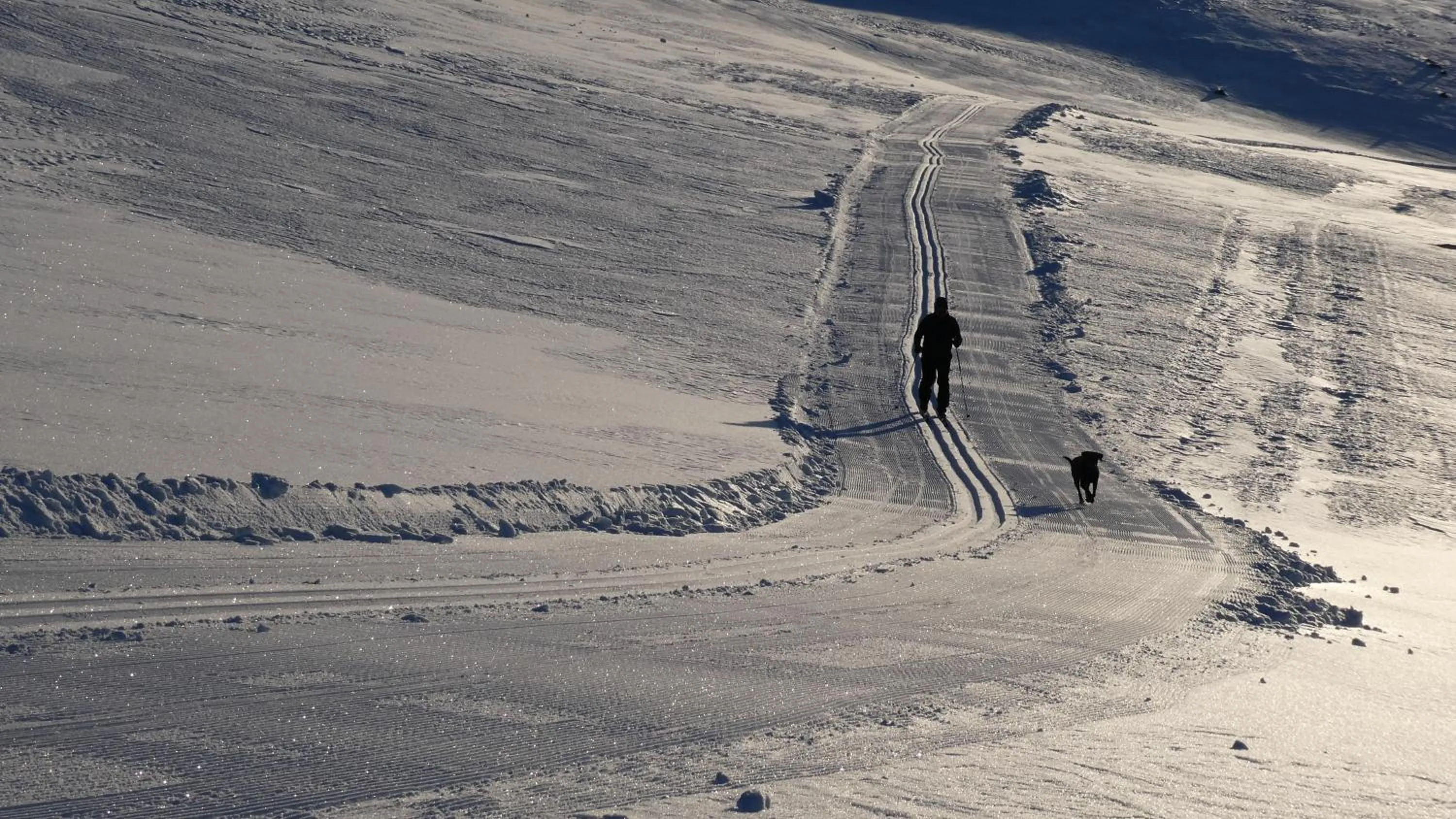 Harbour Inn - Guesthouse