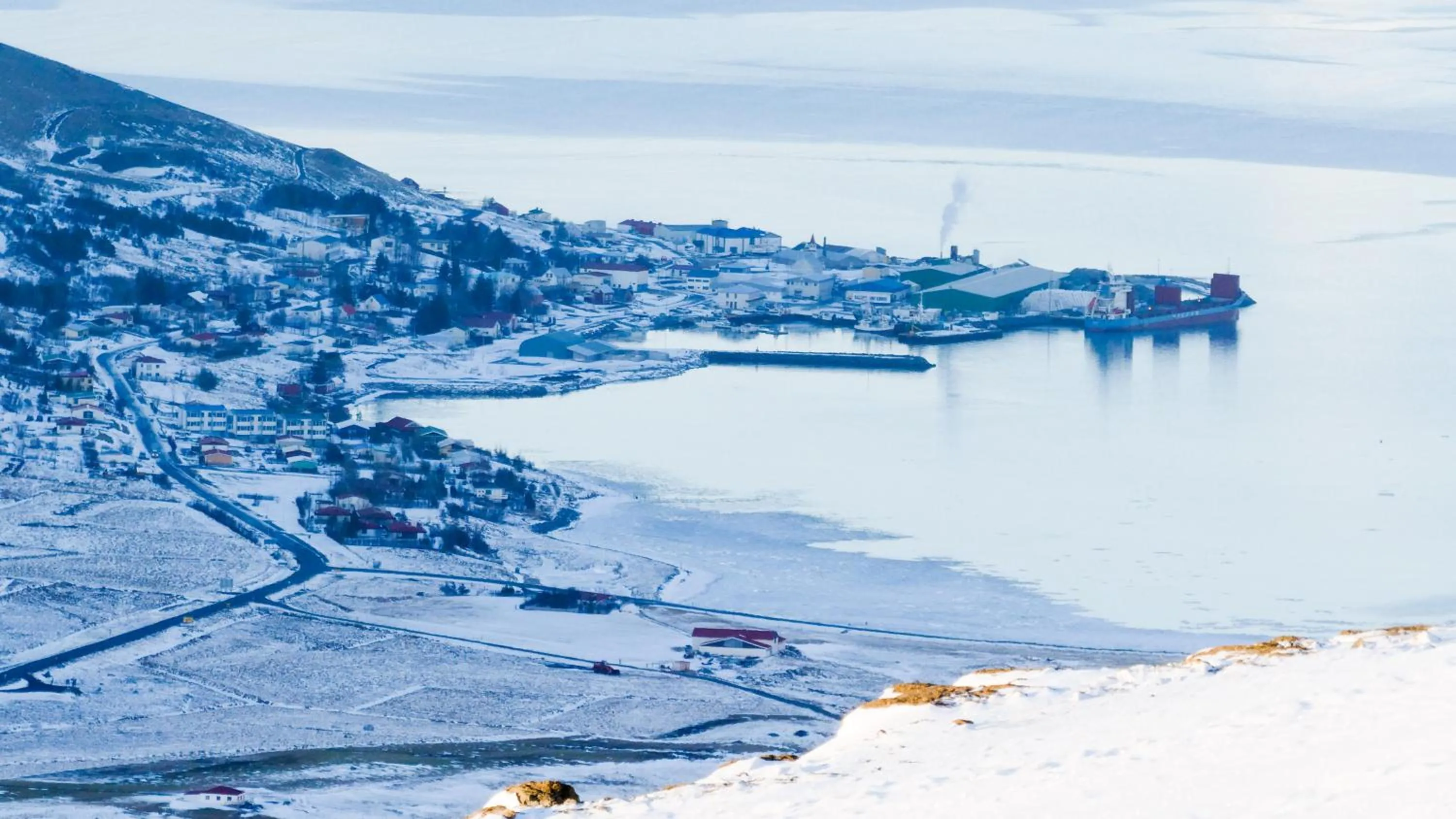 City view in Harbour Inn - Guesthouse