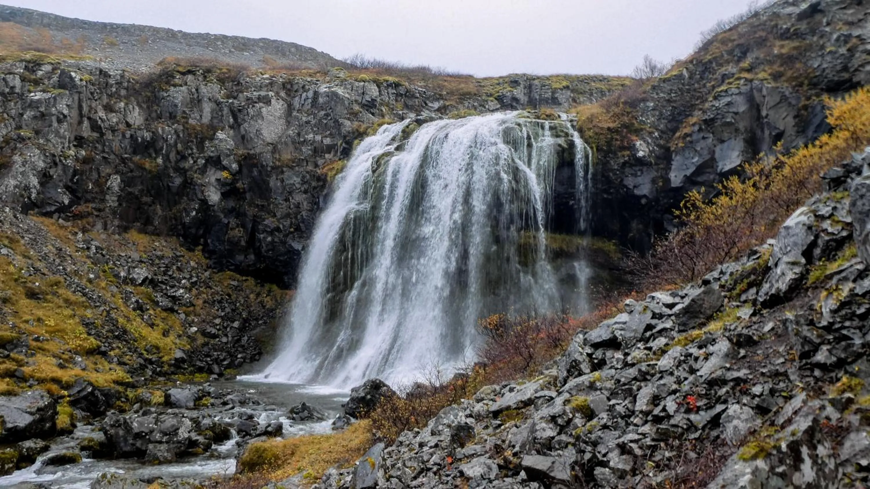 Natural landscape in Harbour Inn - Guesthouse