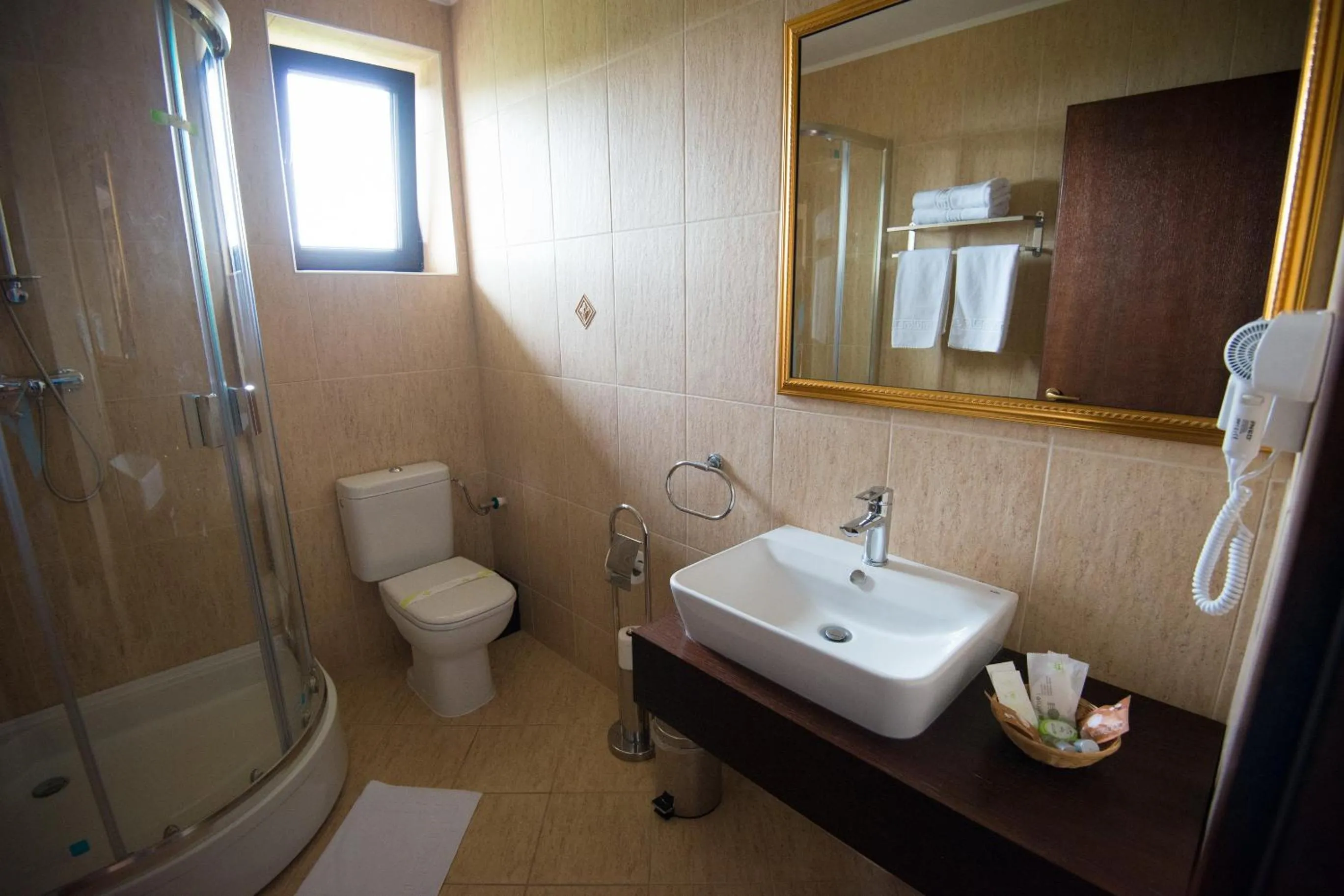 Shower in Pensiunea Toscana