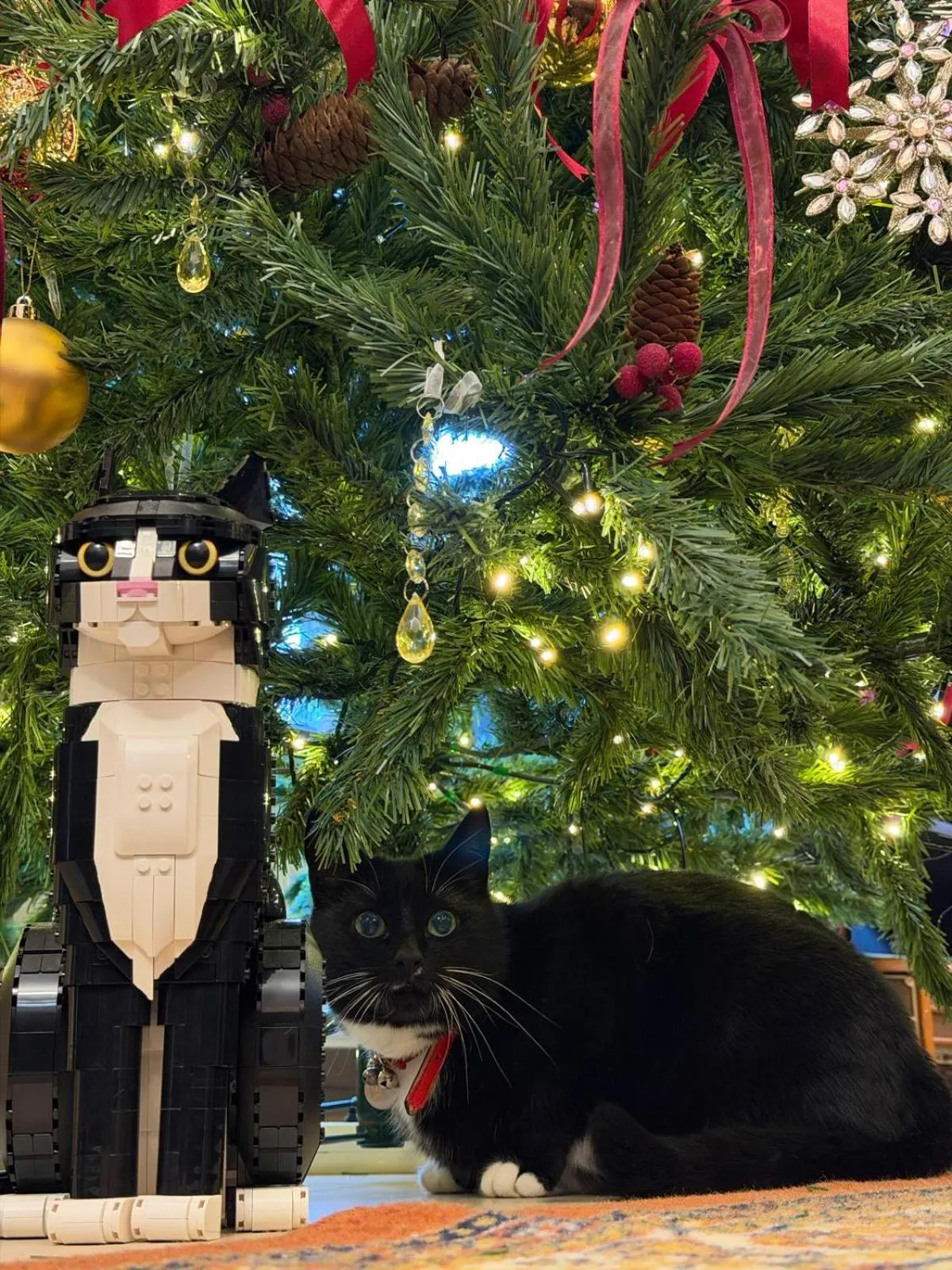 Communal lounge/ TV room in Pensiunea Toscana