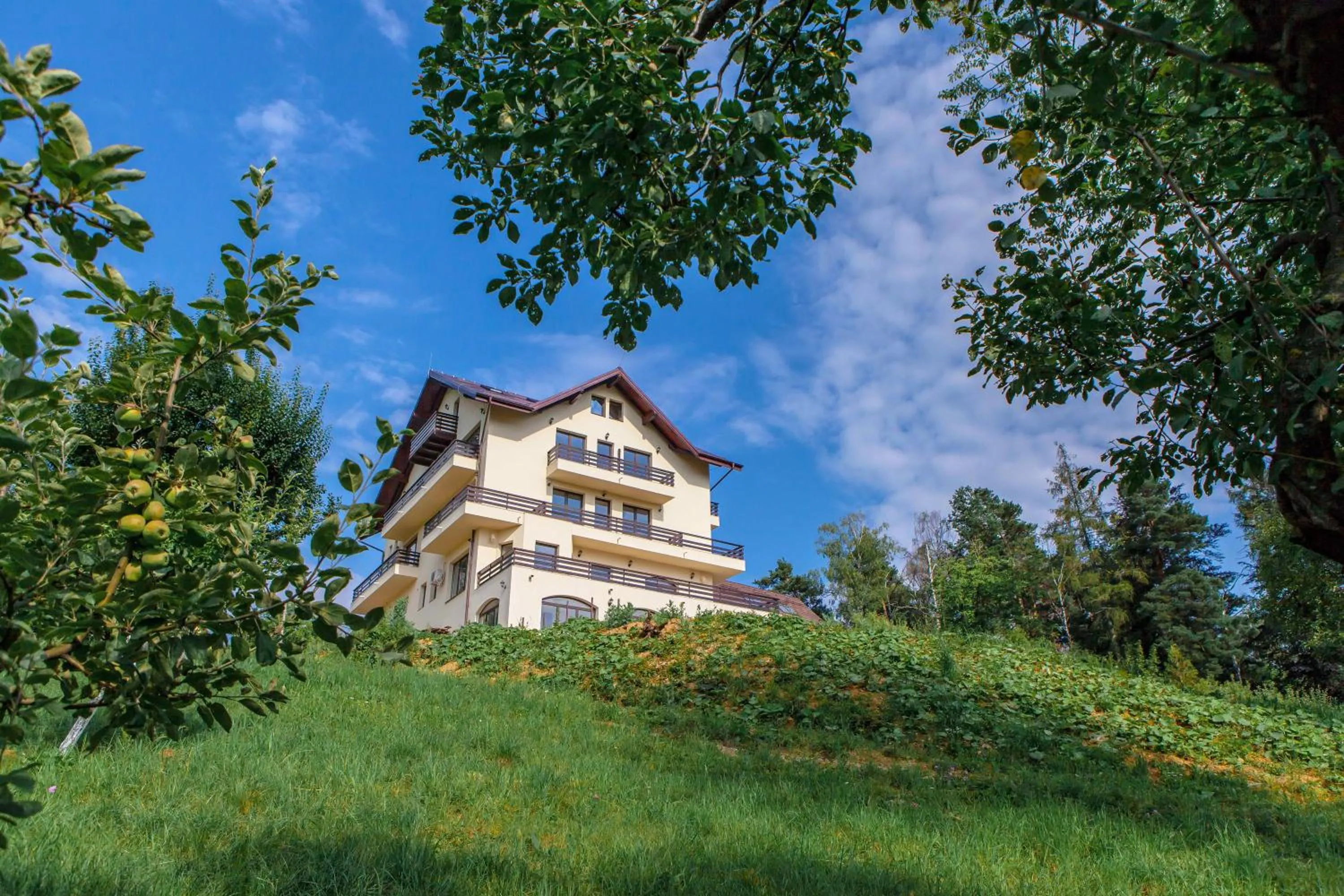 Facade/entrance in Pensiunea Toscana