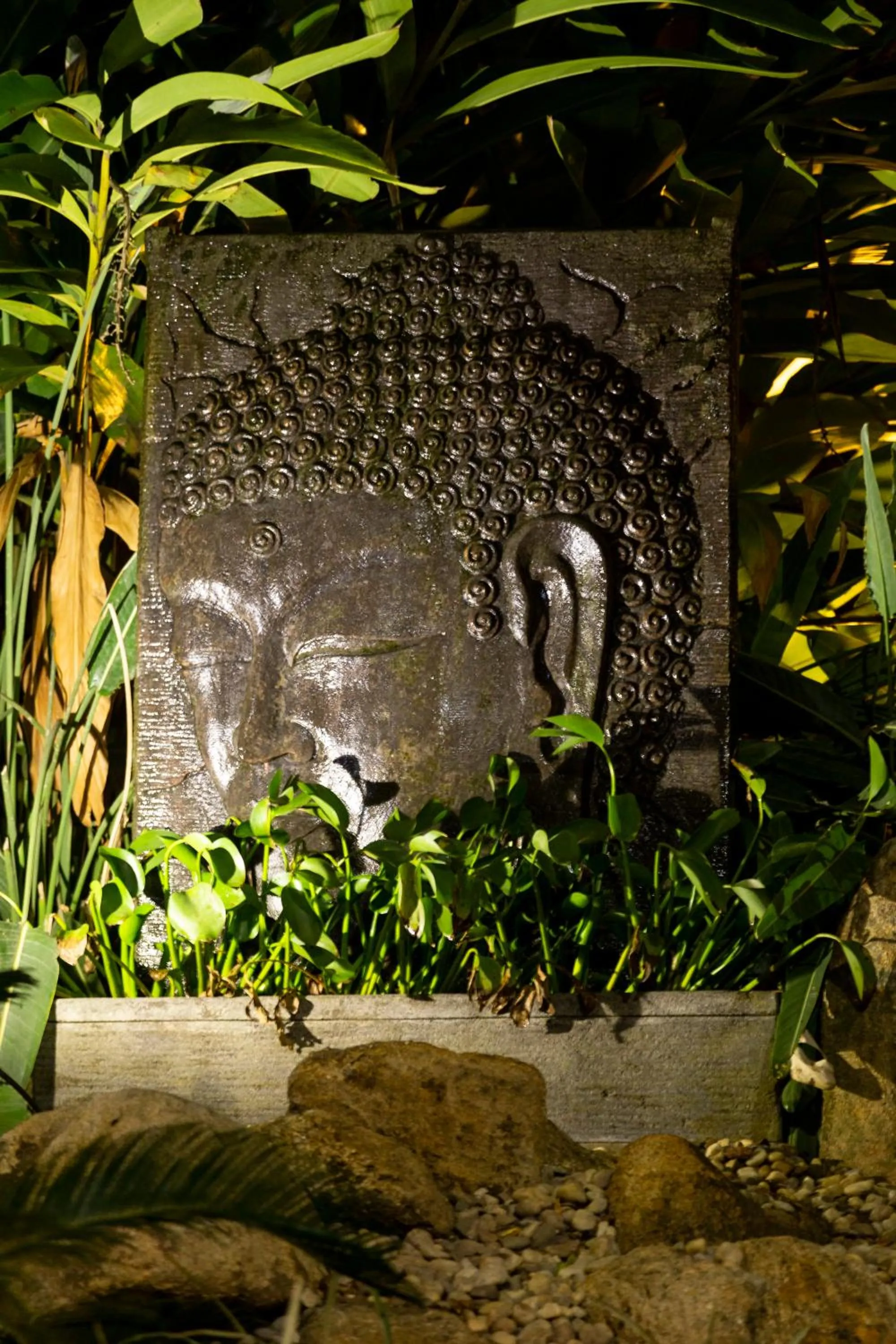 Garden in Dubai Bungalows Bombinhas