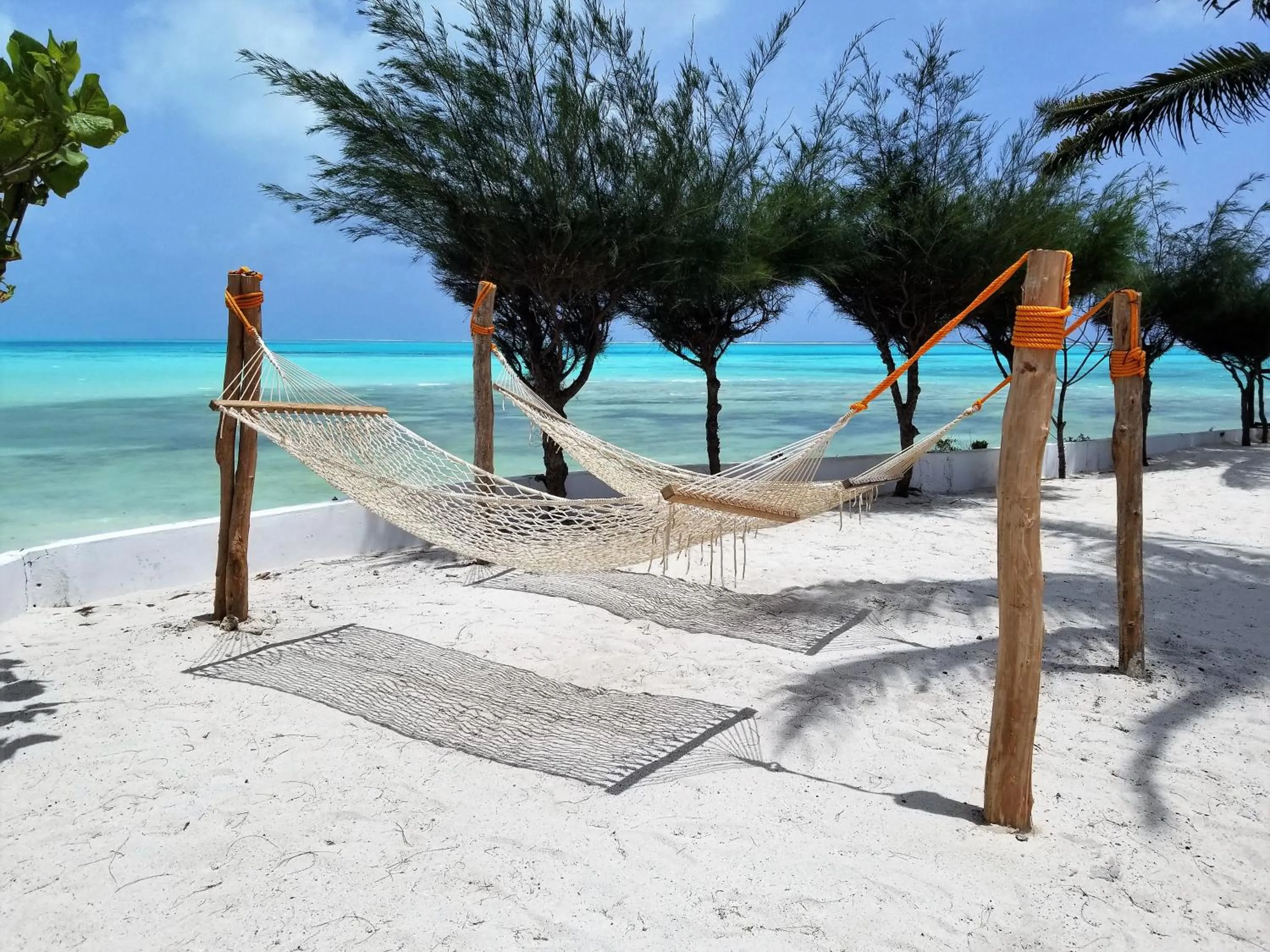 Beach in Reef & Beach Resort - Spa Jambiani