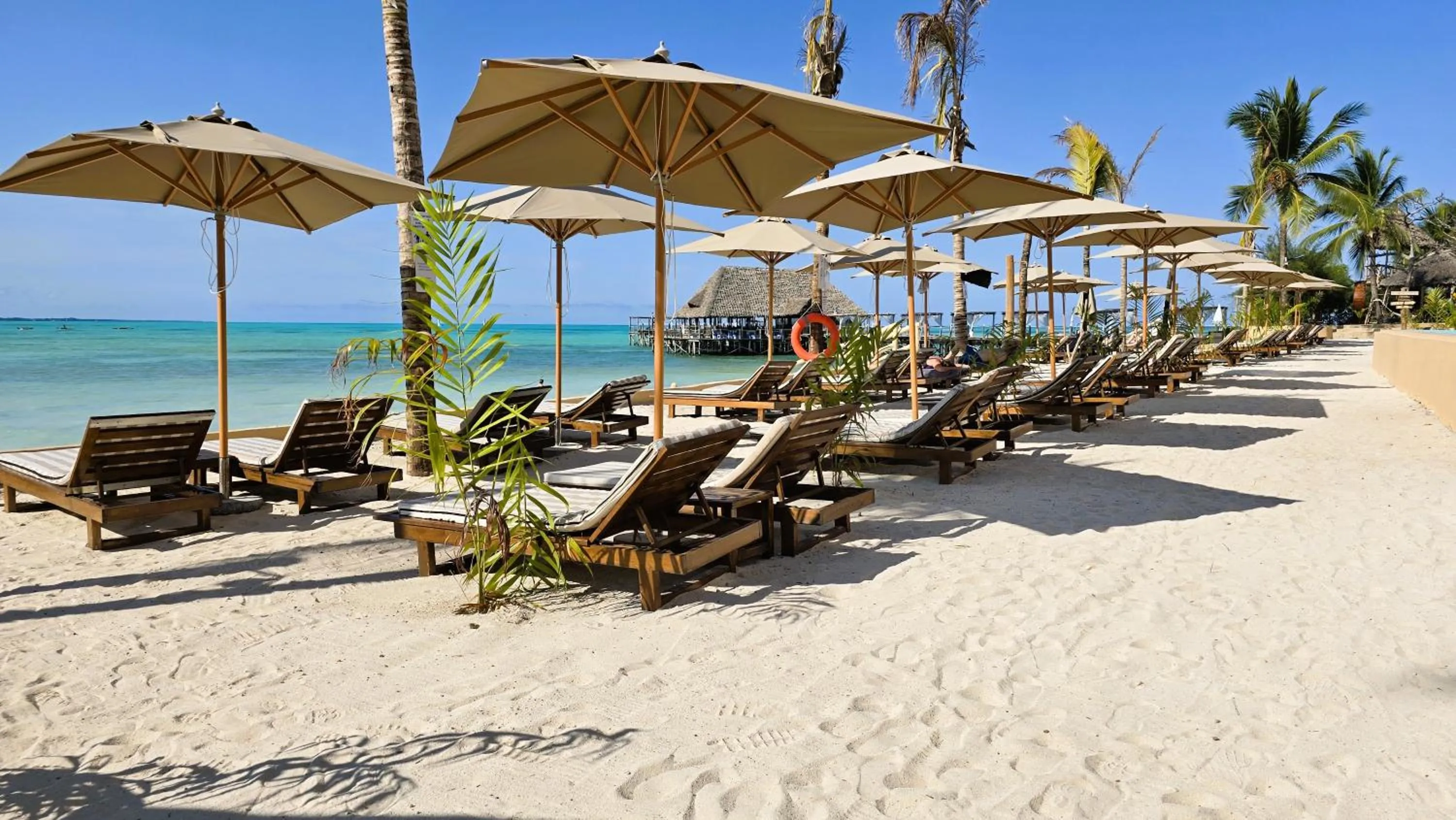 Beach in Reef & Beach Resort - Spa Jambiani