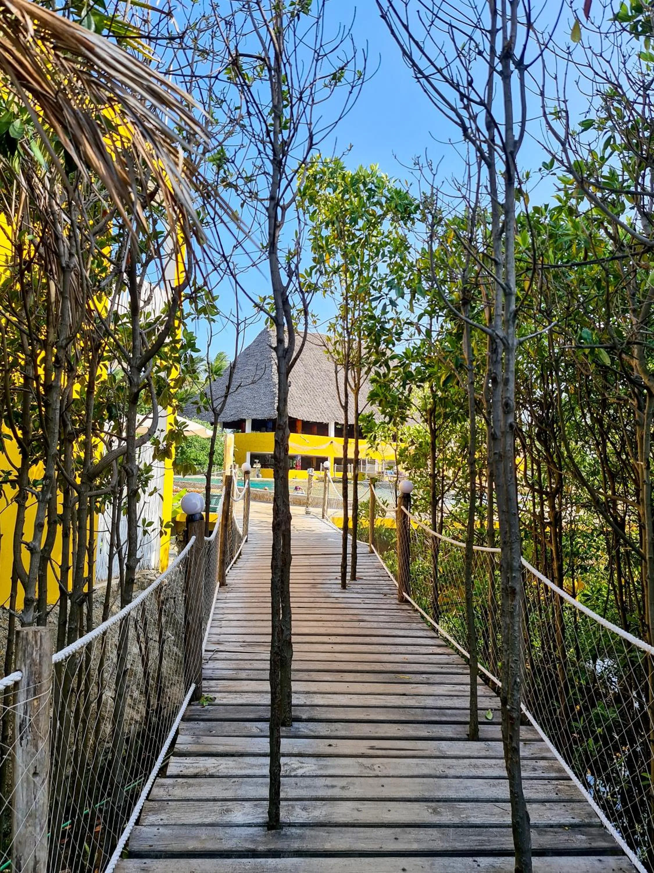 Natural landscape in Reef & Beach Resort - Spa Jambiani