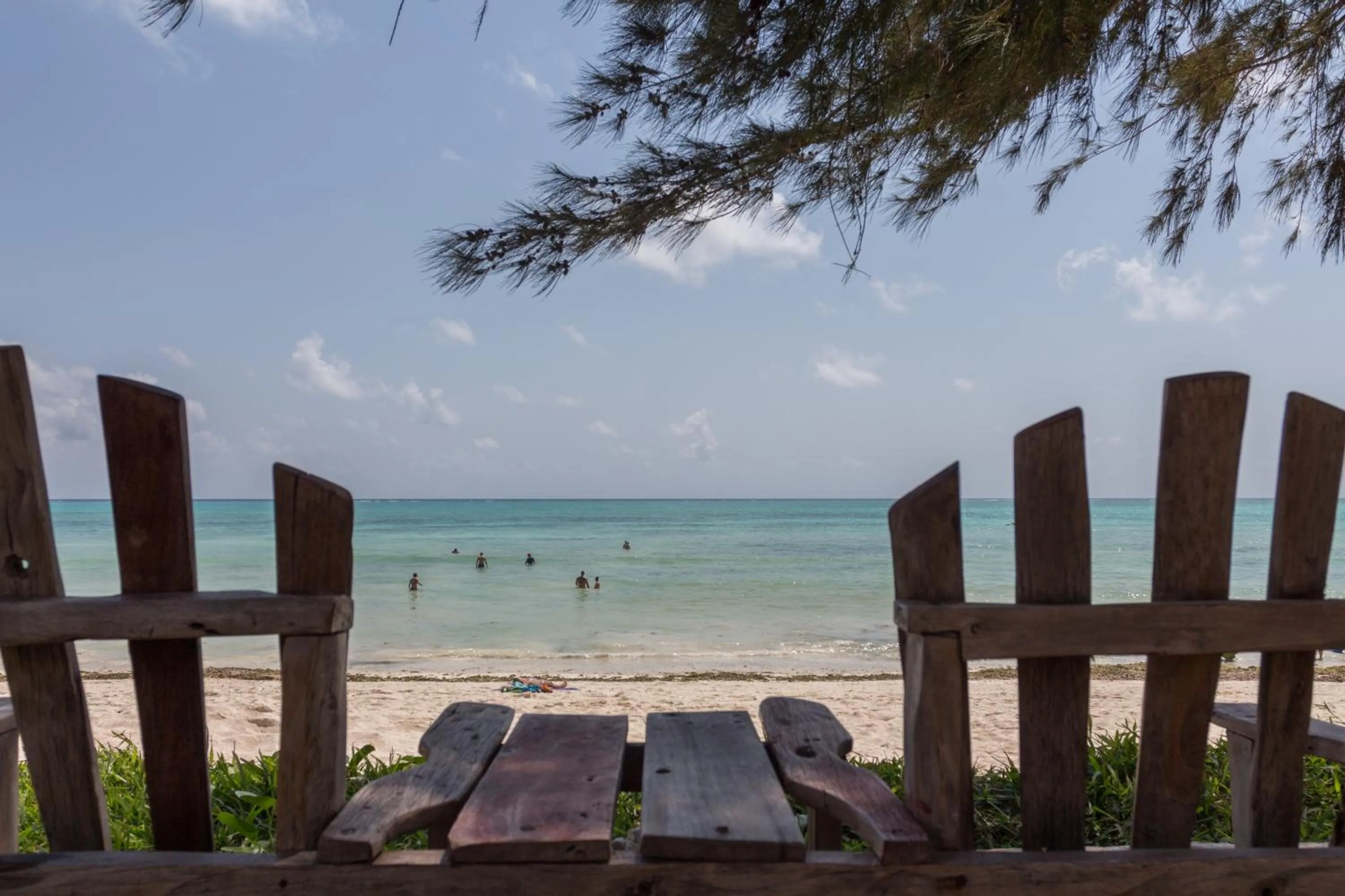 Beach in Reef & Beach Resort - Spa Jambiani
