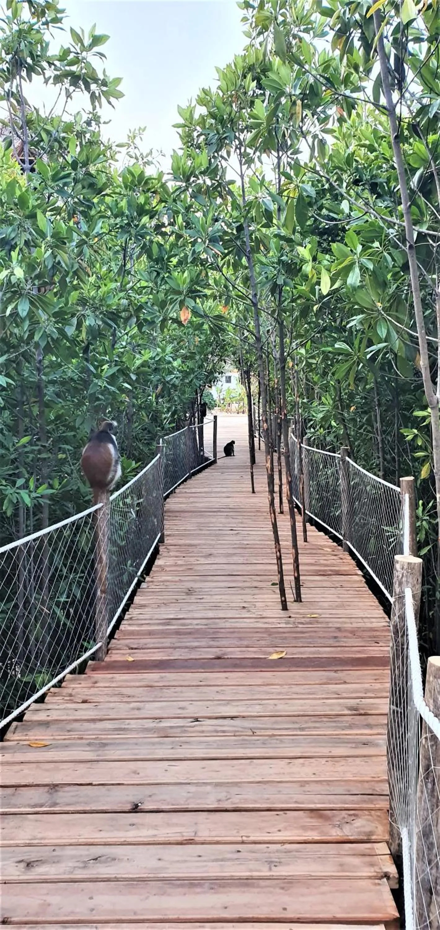 Garden in Reef & Beach Resort - Spa Jambiani