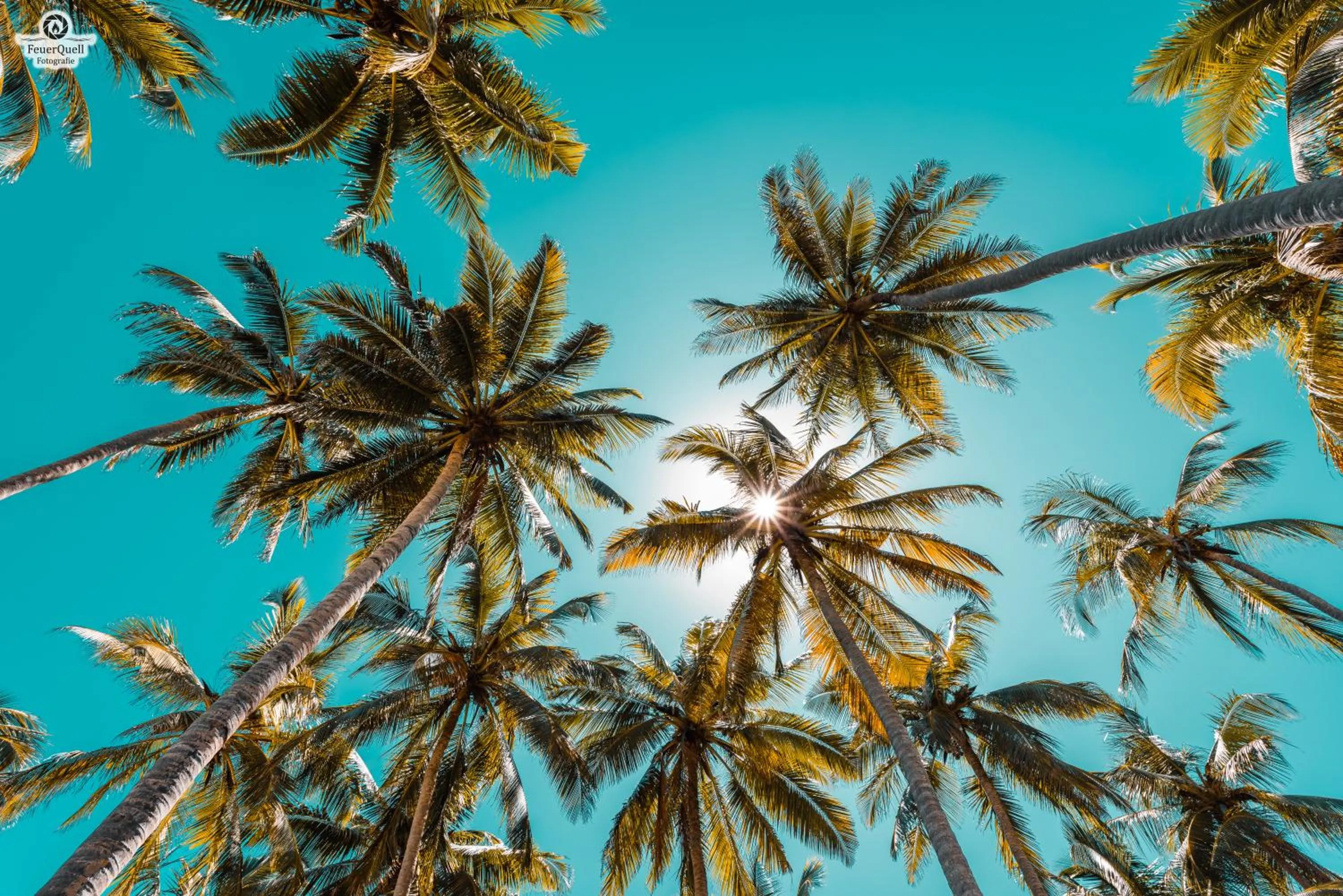 Garden in Reef & Beach Resort - Spa Jambiani