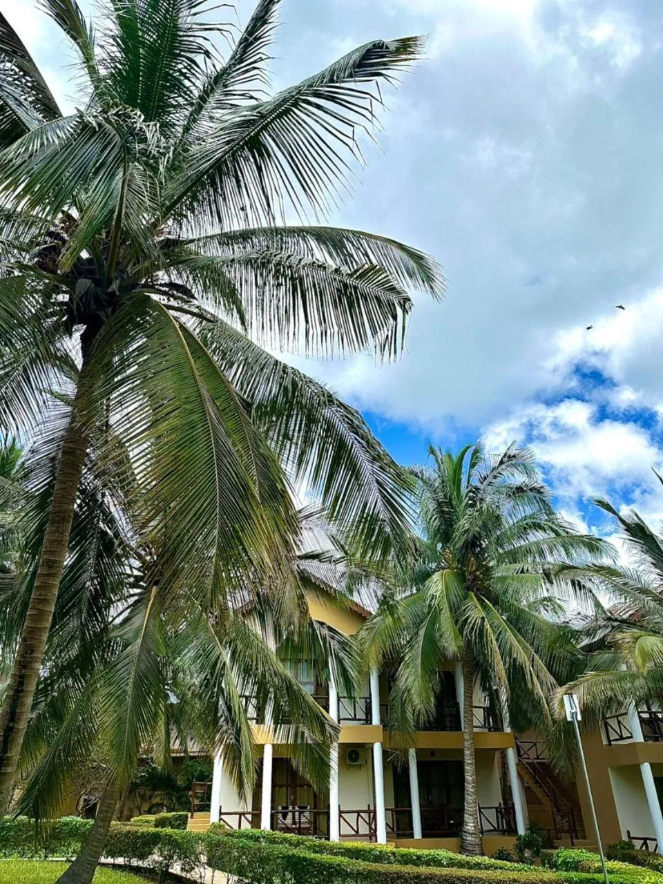 Garden view in Sunset Kendwa Beach Hotel