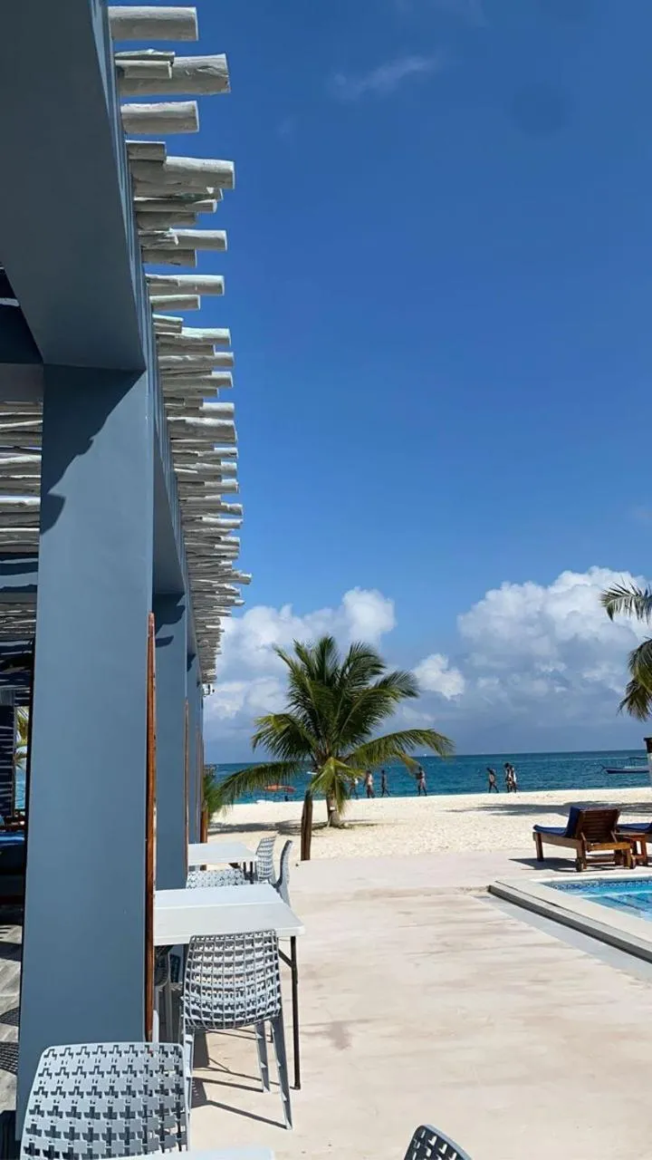 Beach in Sunset Kendwa Beach Hotel