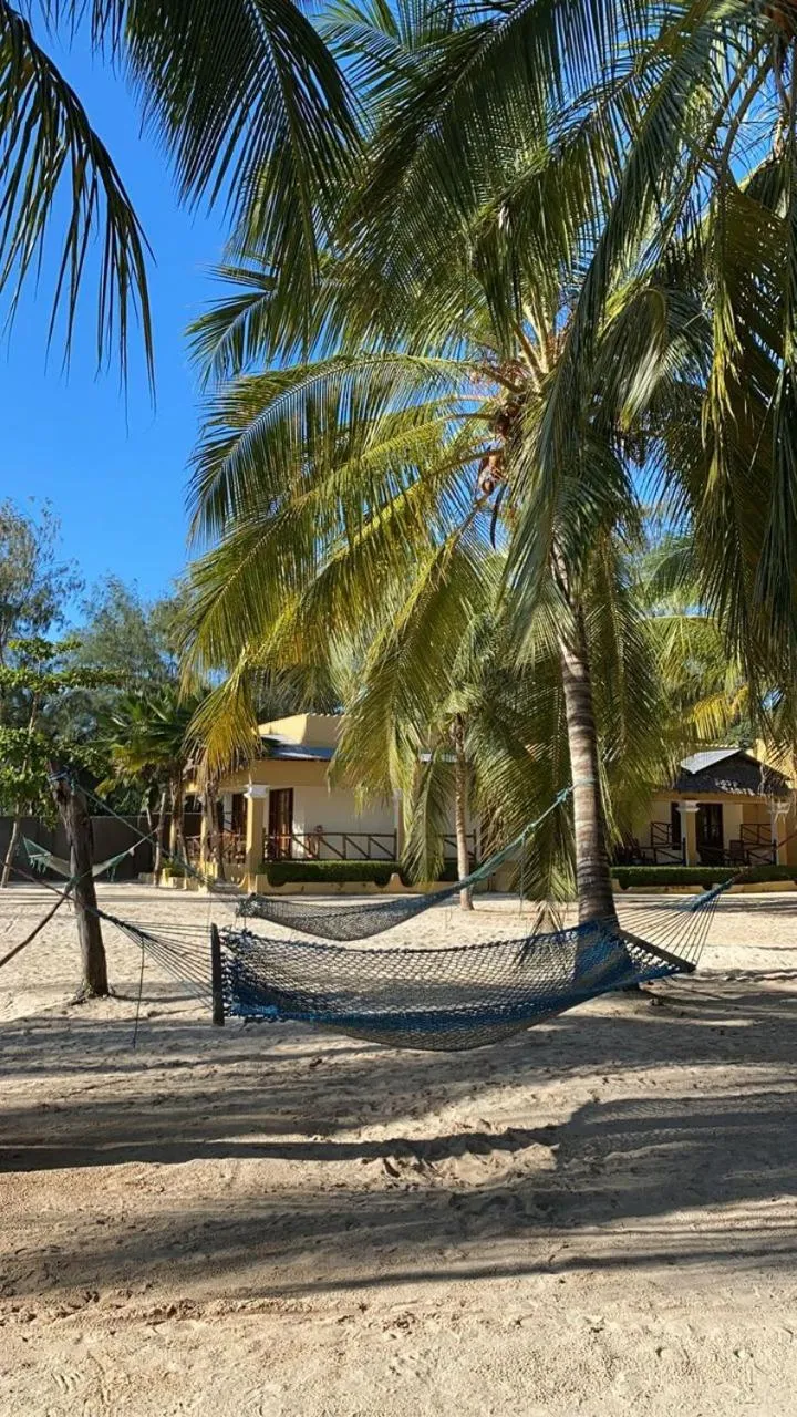 Natural landscape in Sunset Kendwa Beach Hotel