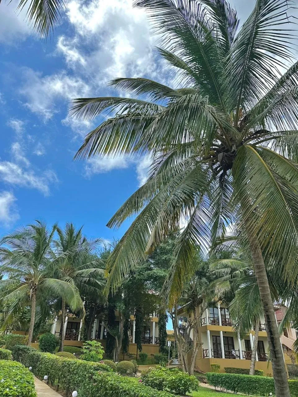 Garden in Sunset Kendwa Beach Hotel
