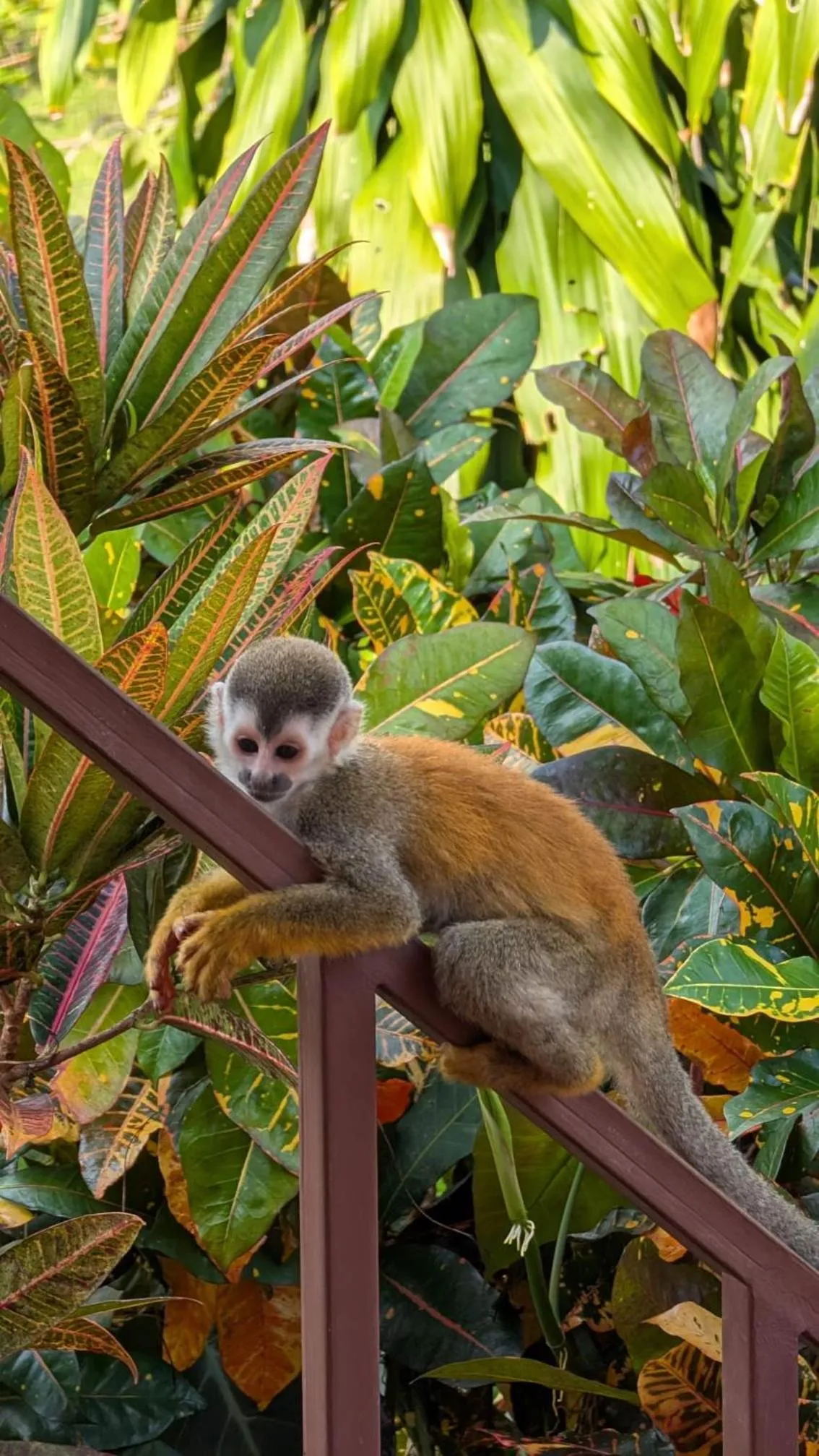 Day in Sunrise House