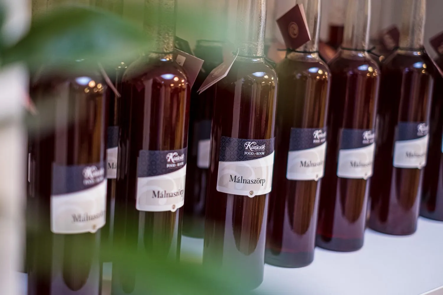 Lobby or reception in Kistücsök Food & Room