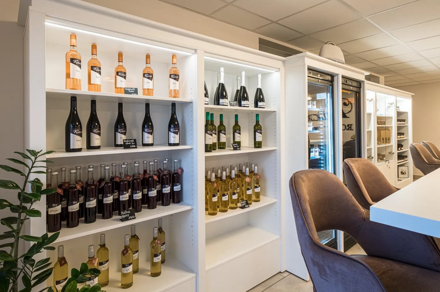 Lobby or reception in Kistücsök Food & Room