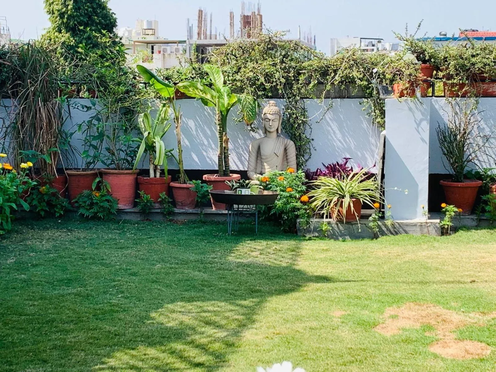 Garden in Vandana's Bed and breakfast