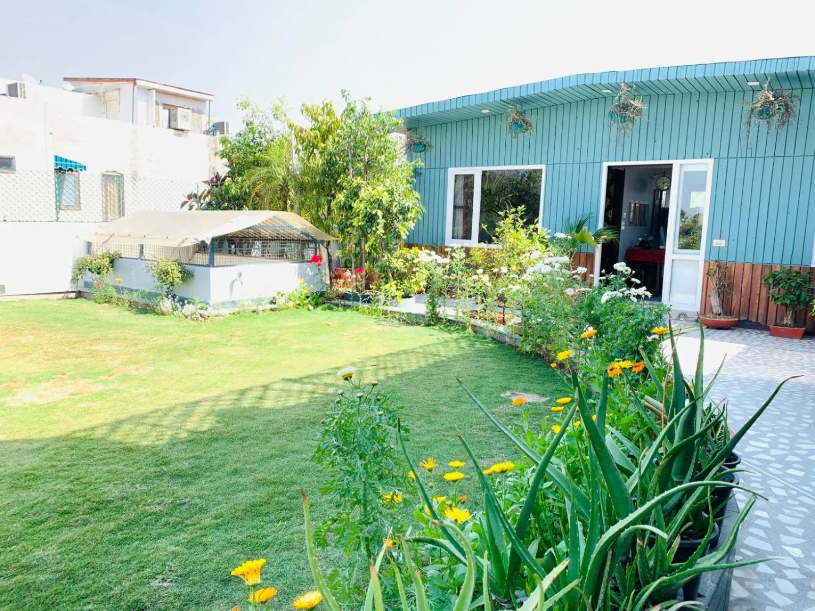 Garden in Vandana's Bed and breakfast