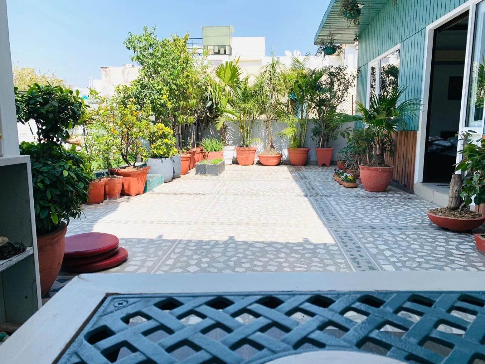 Garden in Vandana's Bed and breakfast