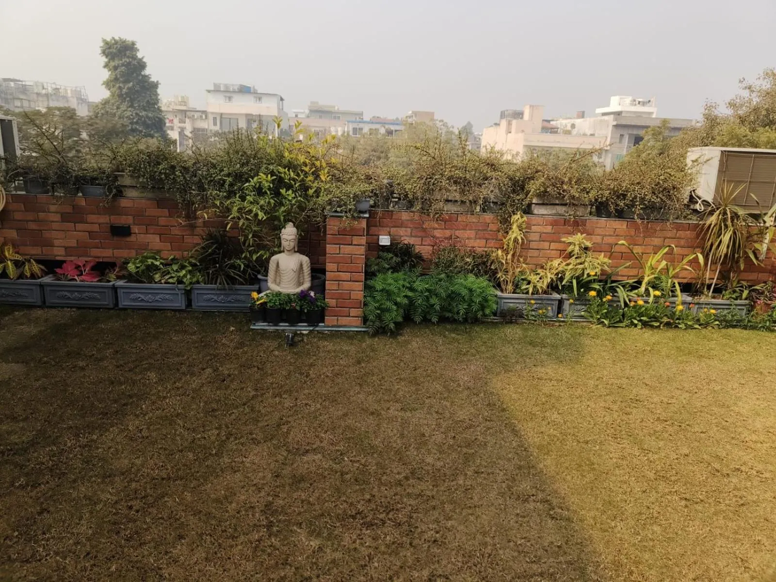 Garden in Vandana's Bed and breakfast