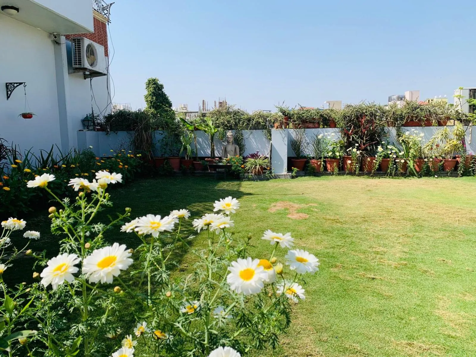 Garden in Vandana's Bed and breakfast