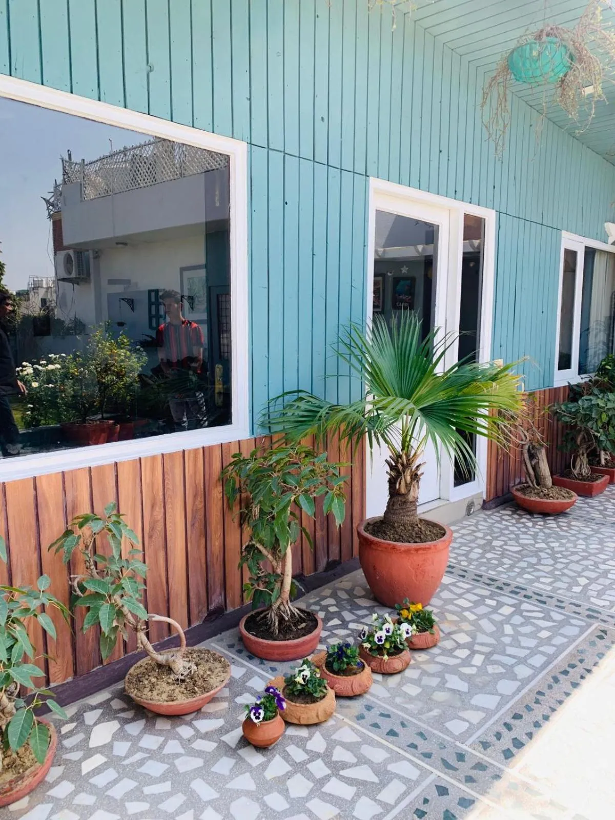 Garden in Vandana's Bed and breakfast