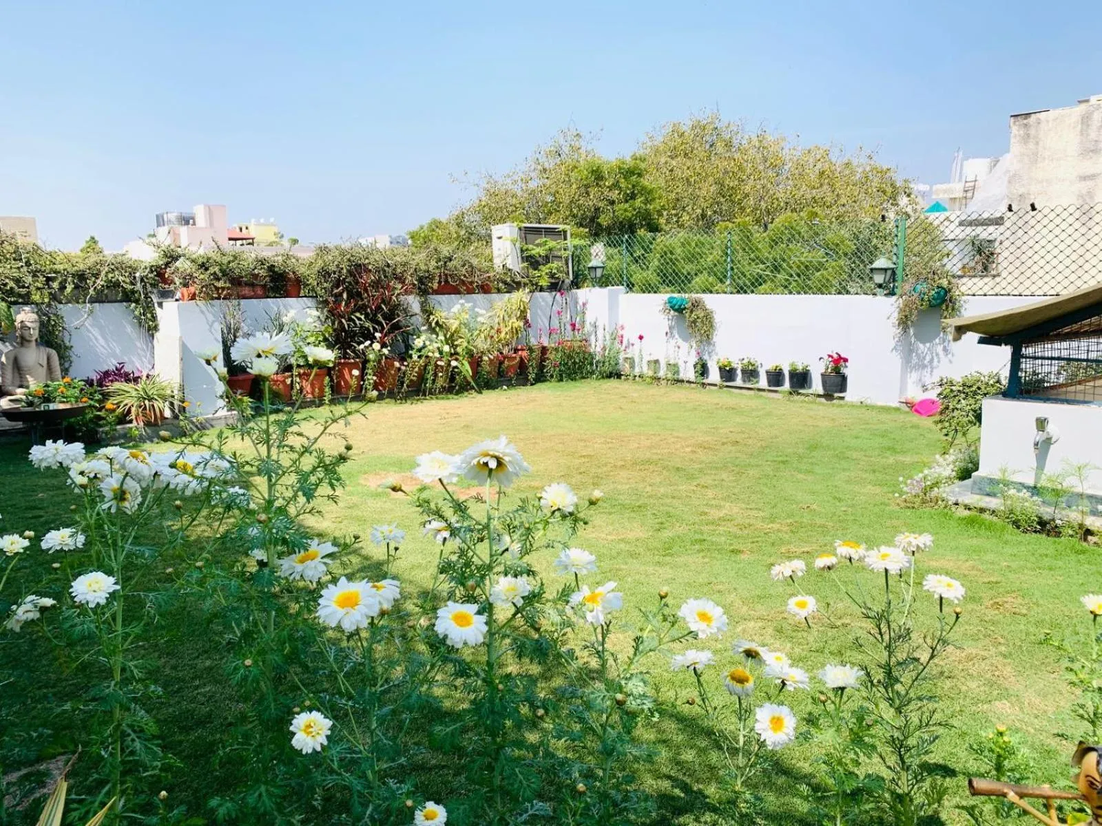 Garden in Vandana's Bed and breakfast