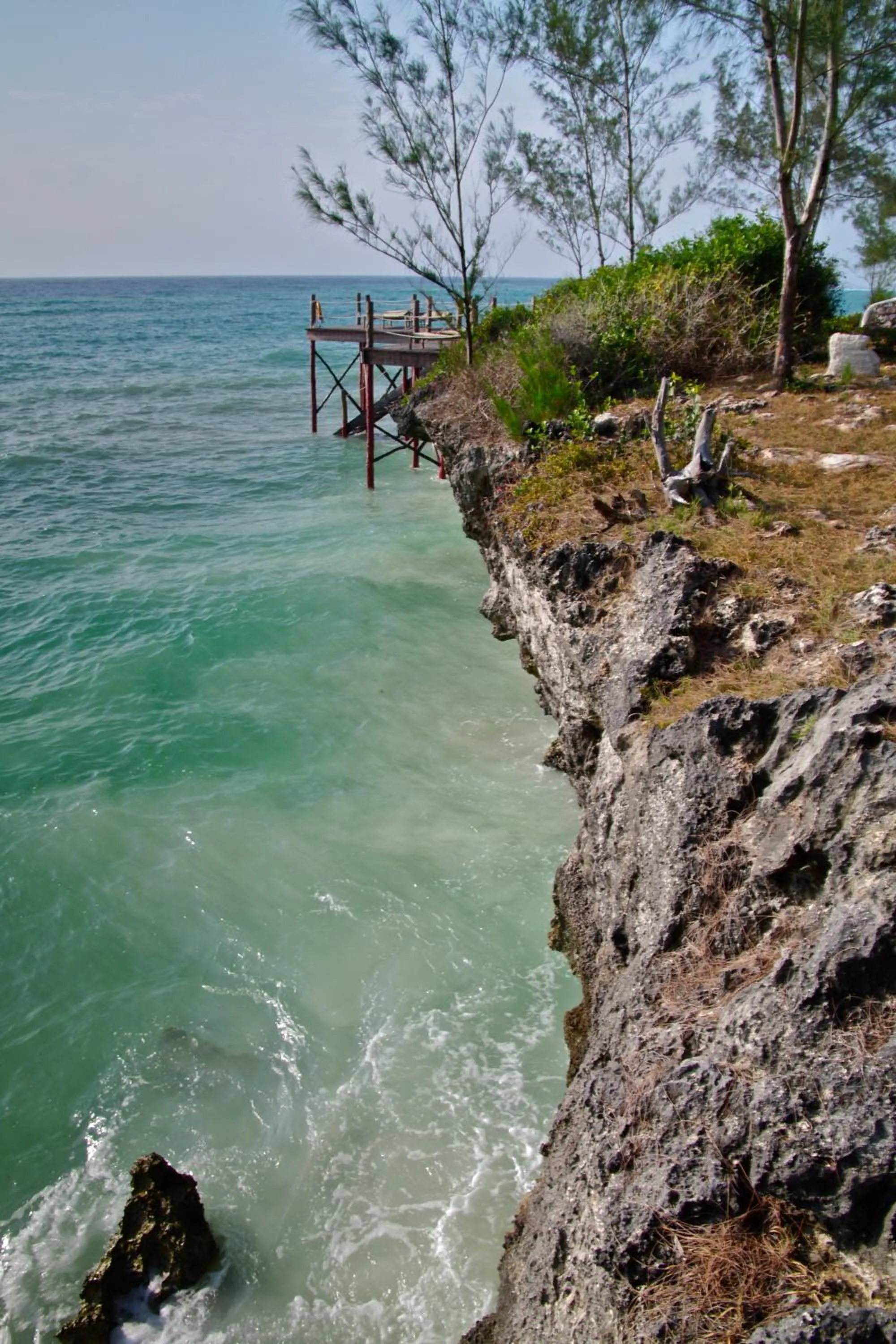 Natural landscape in Sunshine Marine Lodge