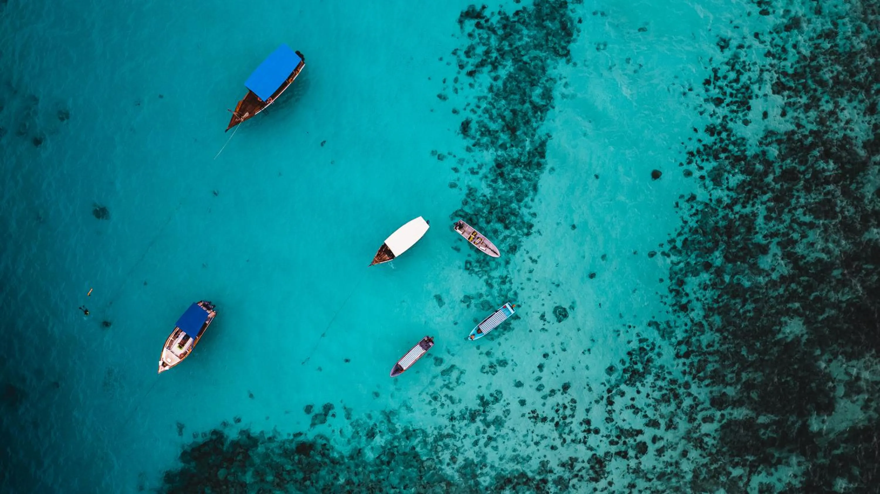 Natural landscape in Sunshine Marine Lodge
