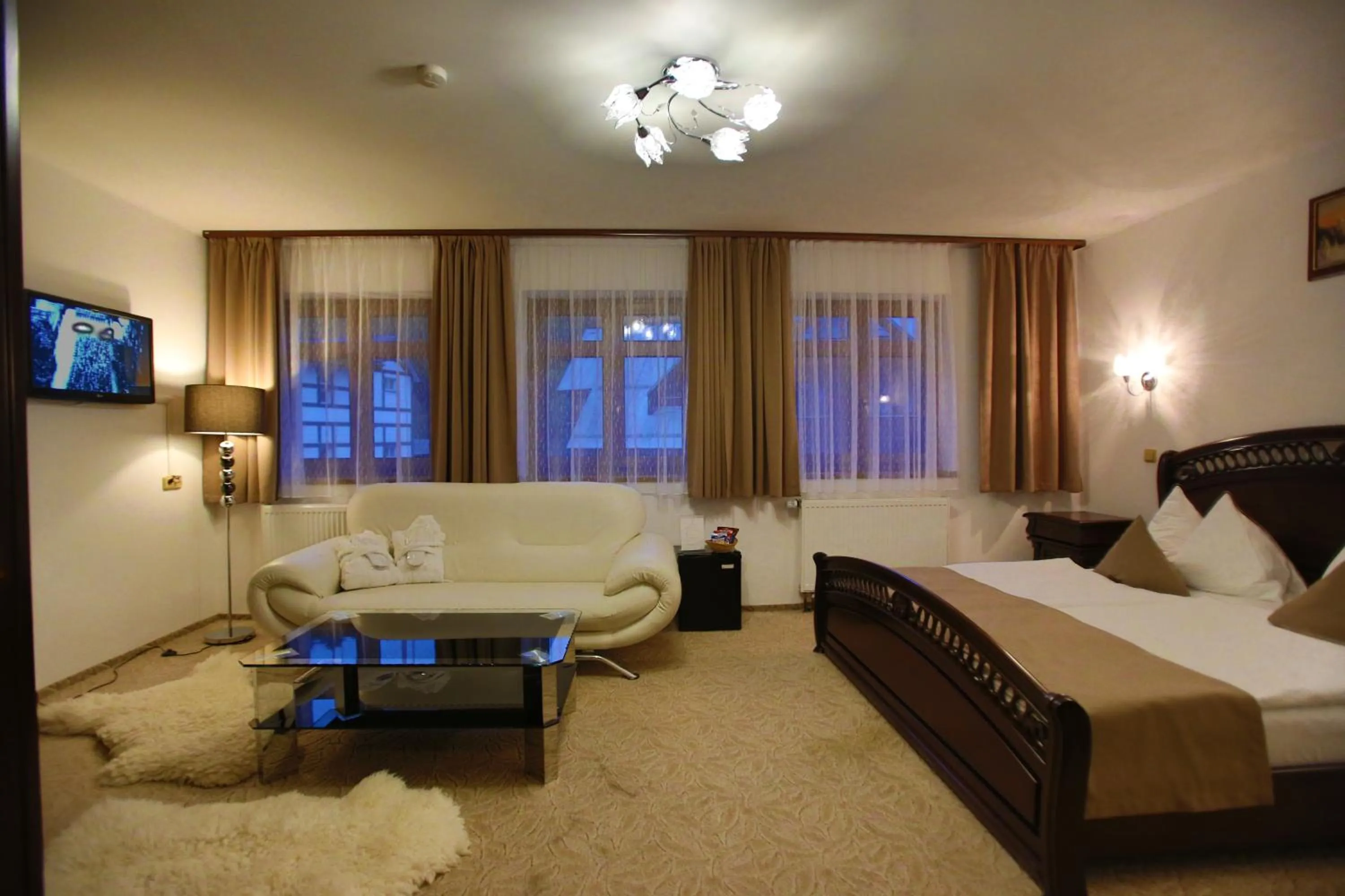 TV and multimedia in Hotel Jelinek