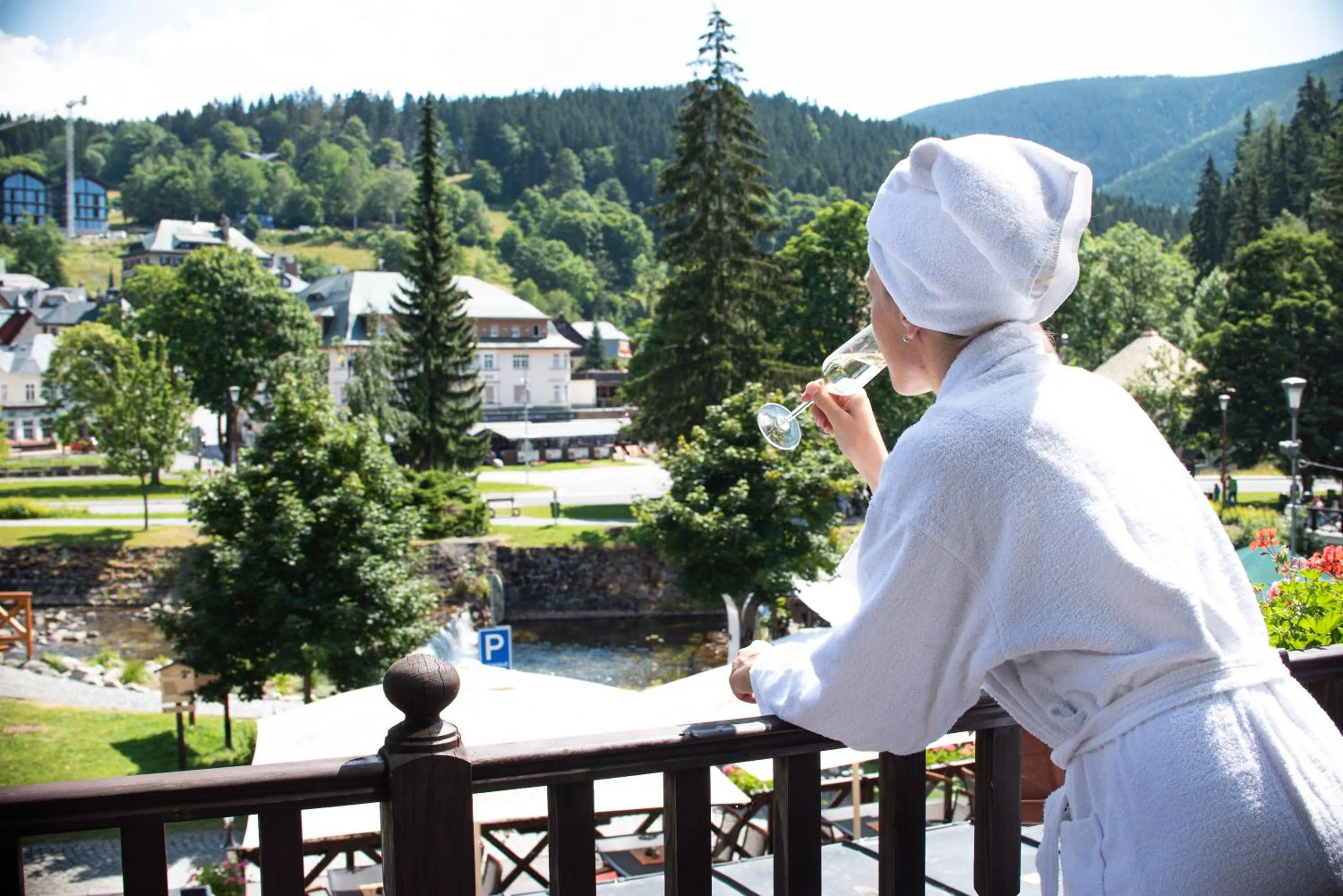 Mountain view in Hotel Jelinek