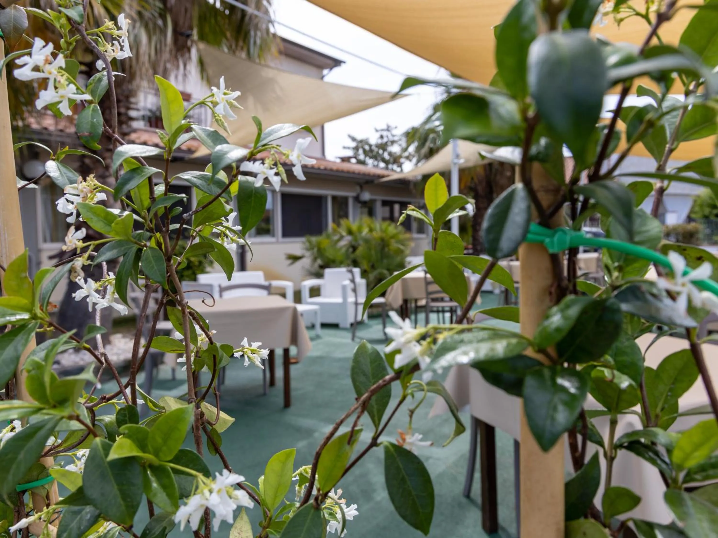 Property building in Hotel La Rosa Dei Venti