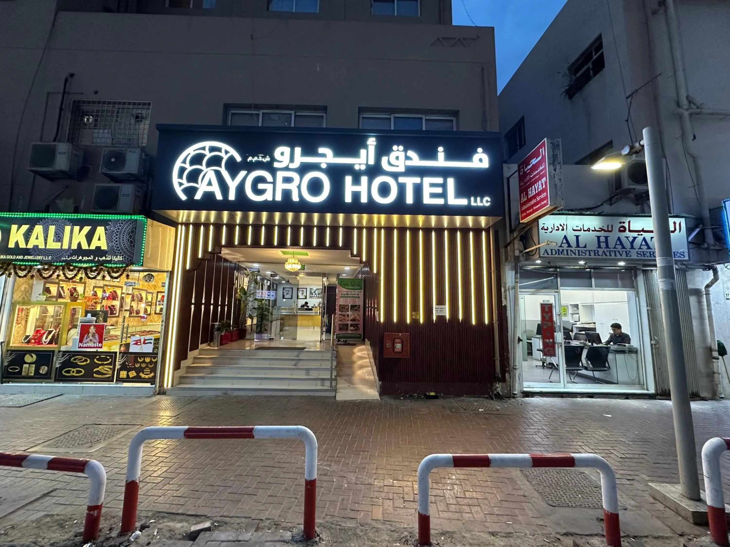 Facade/entrance in Aygro Hotel