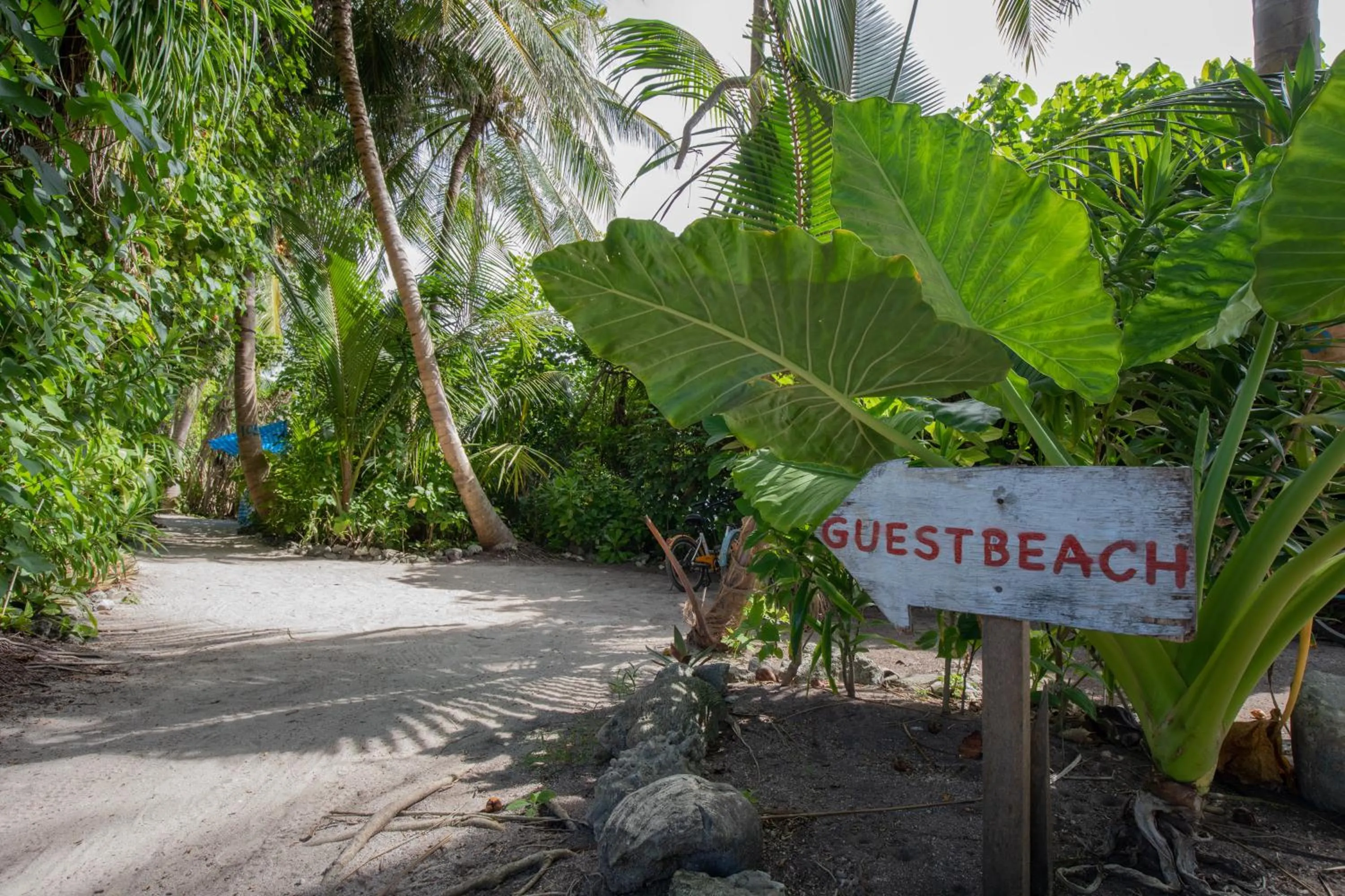 Beach in Belvedere Thoddoo