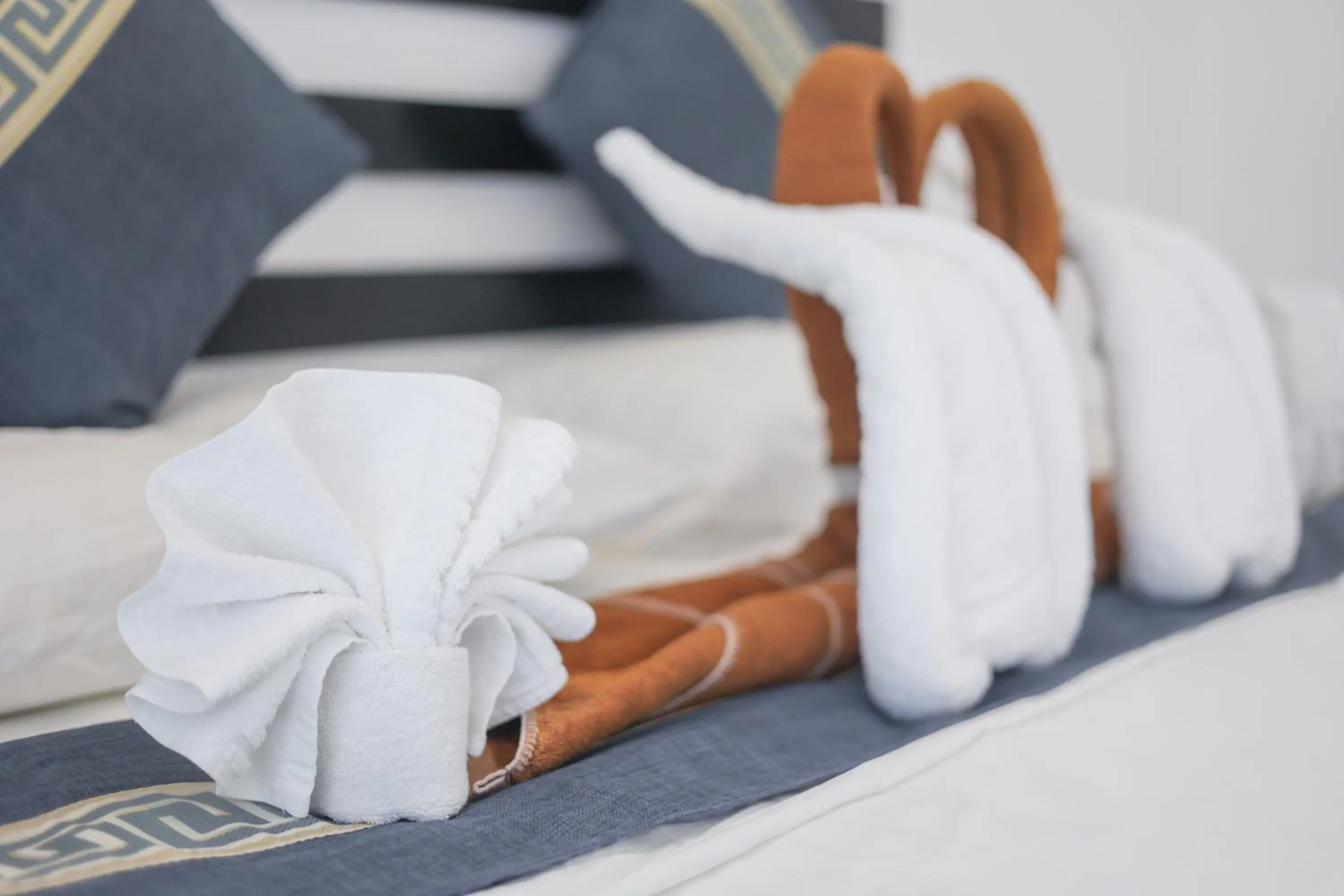 Decorative detail in Belvedere Thoddoo