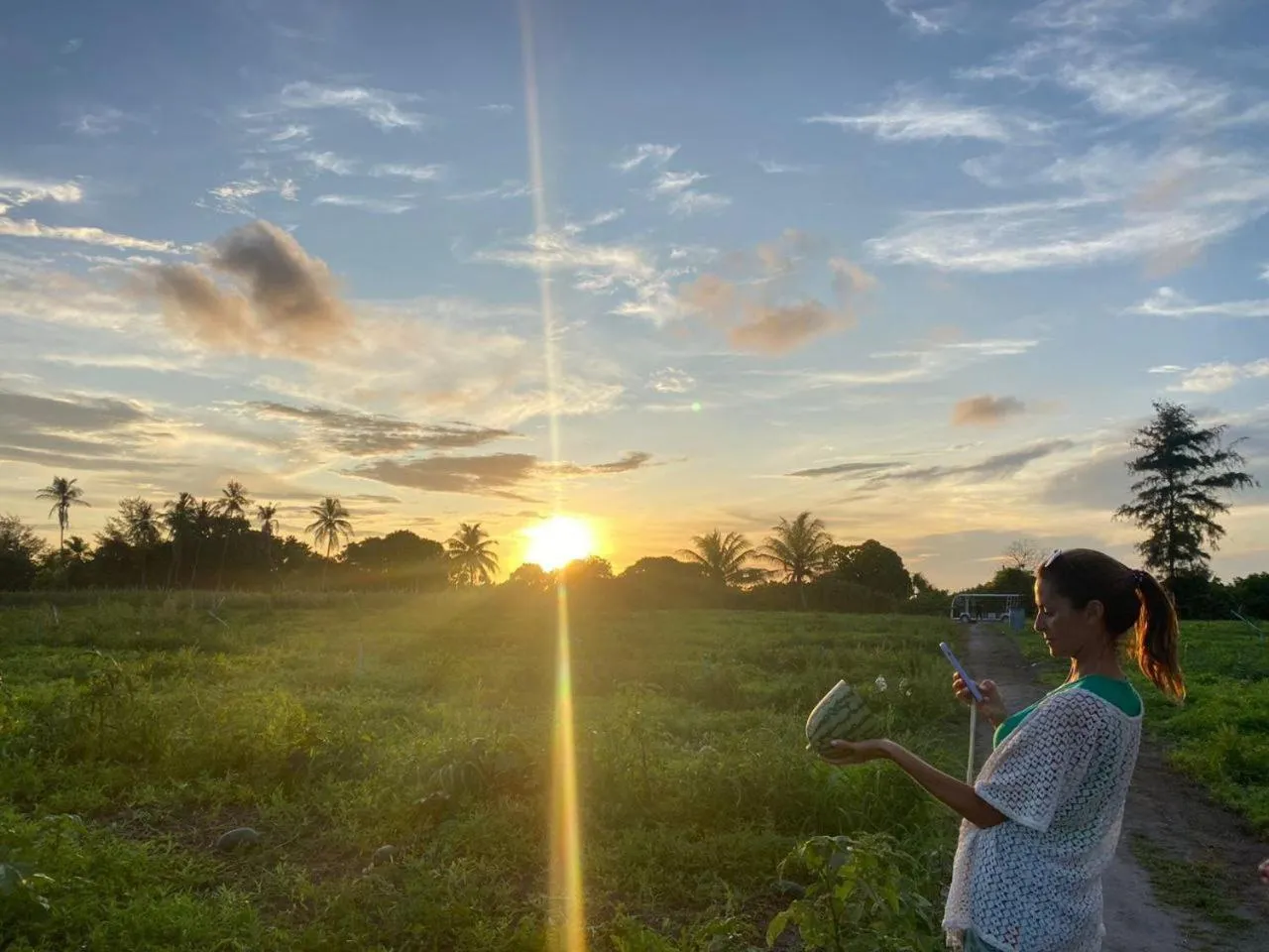 Off site in Belvedere Thoddoo